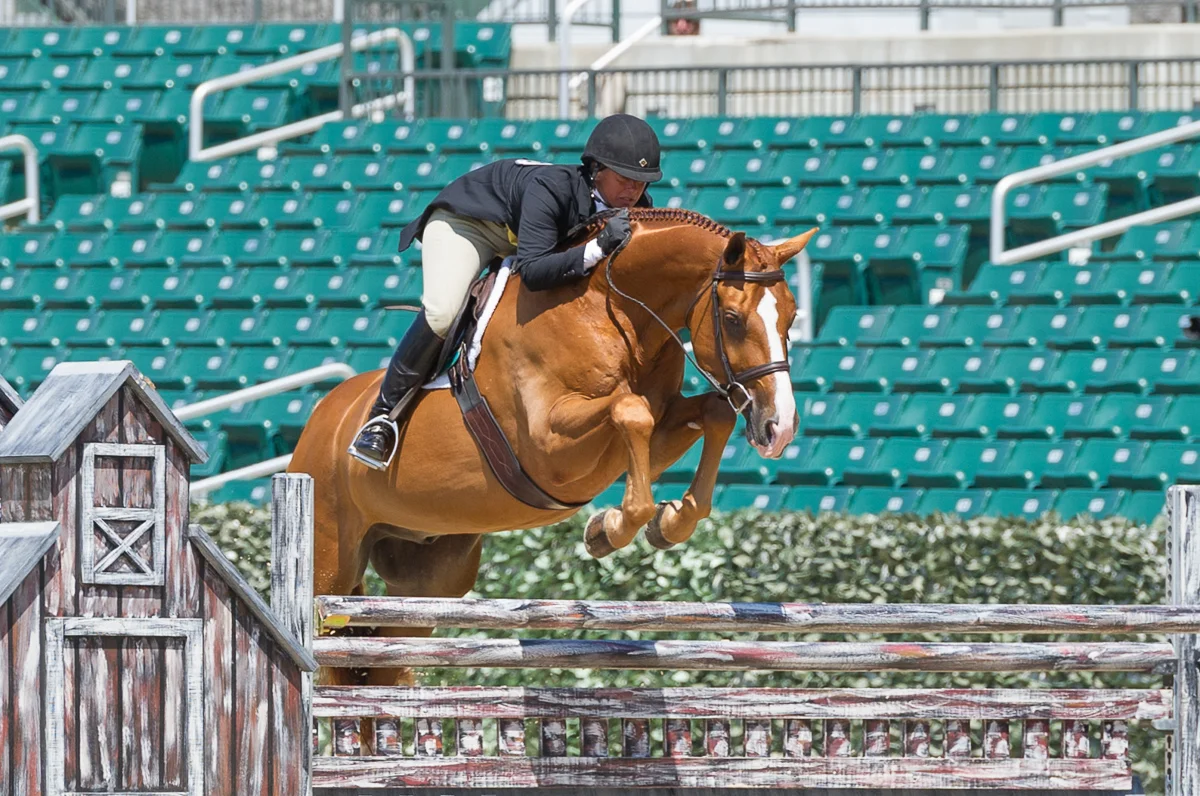 Jen Alfano and Jersey Boy