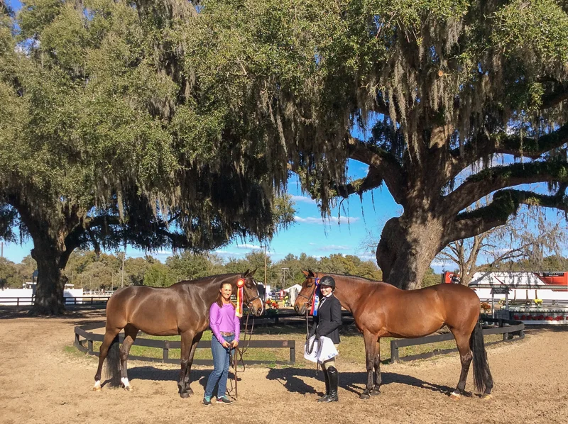 SBS Farms spends the winter attending the HITS Ocala Winter circuit in Ocala, Florida.