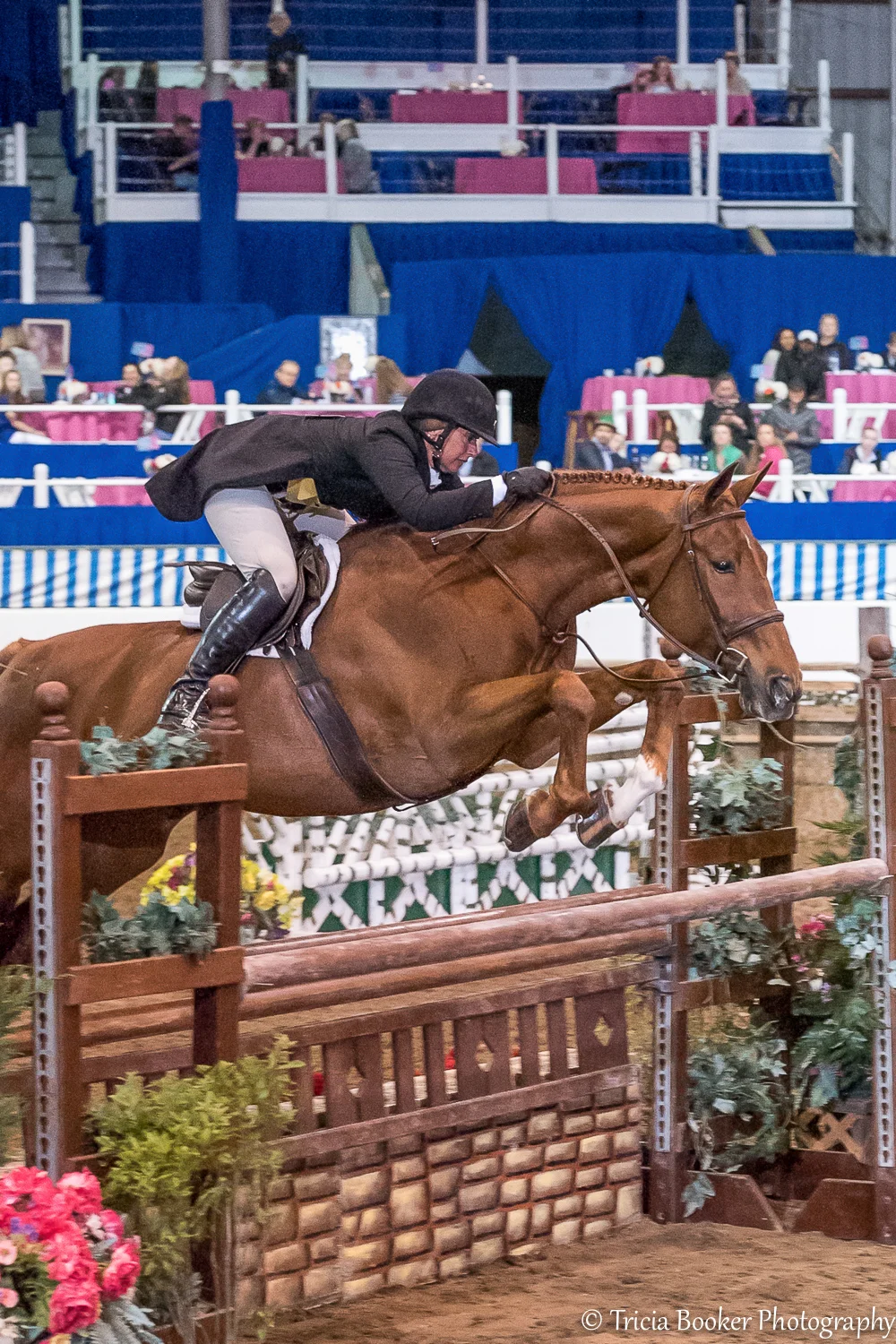 Jennifer Alfano and Miss Lucy