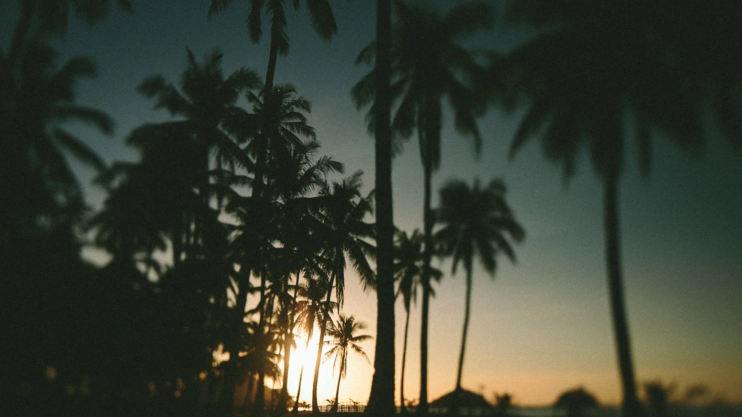 Qi Palawan Destination Wedding-DawidKarolina-22.jpg