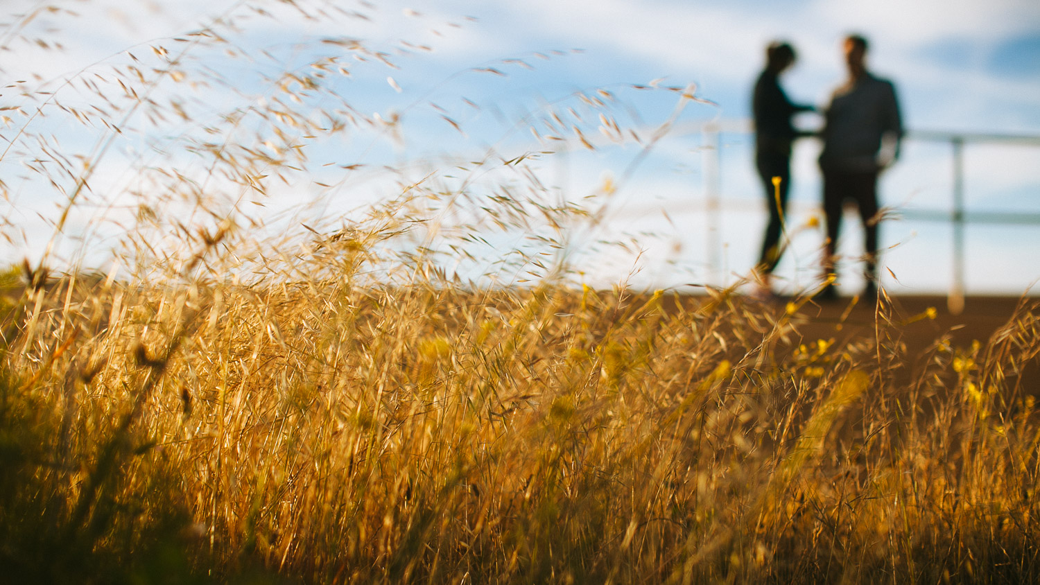 San Francisco Engagement Session-DominicCaroline-21.jpg