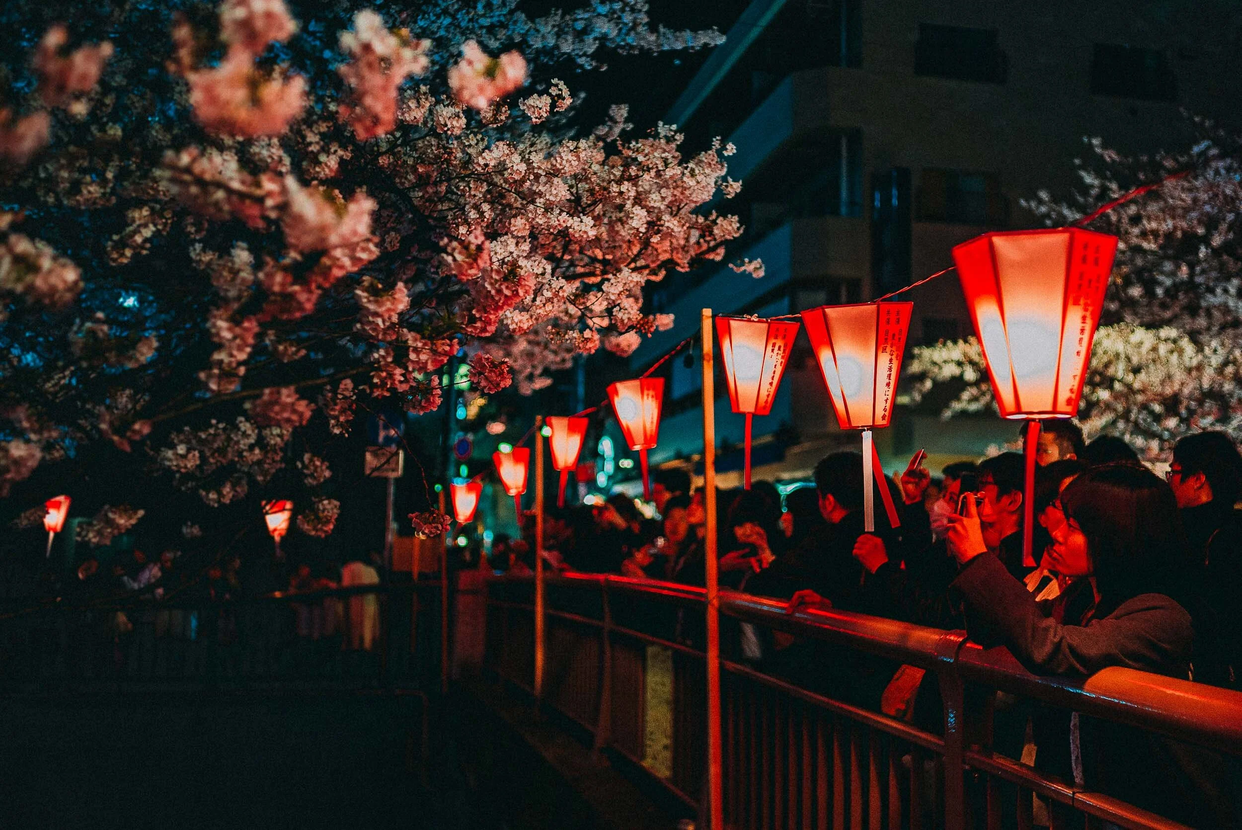 Tokyo Photography