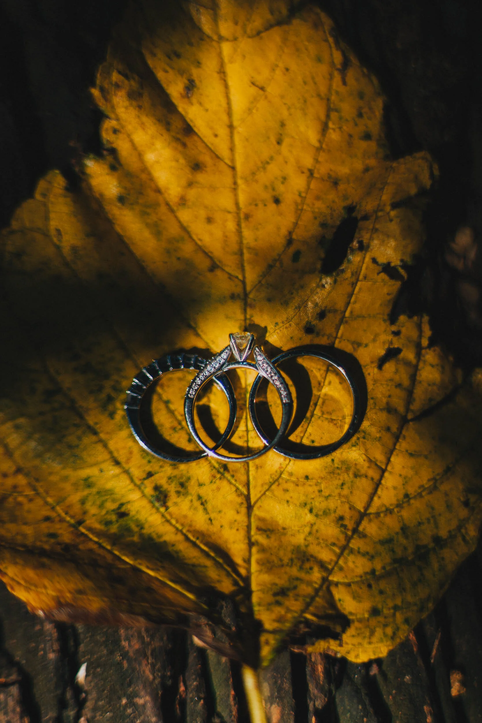 Batanes Wedding Photography