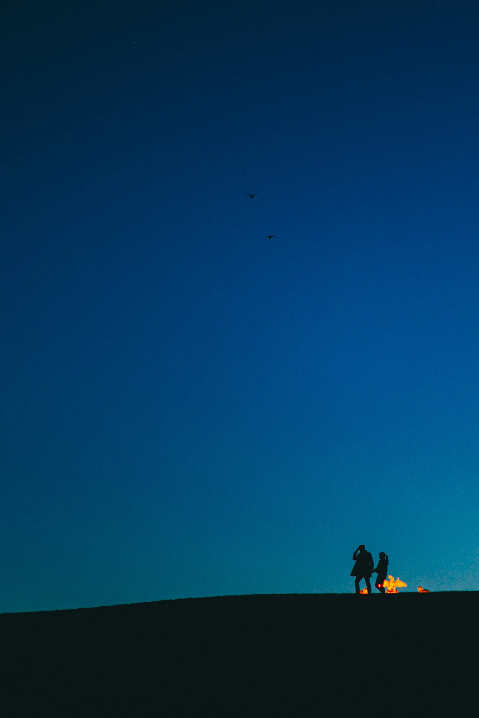 Vienna Engagement Photography