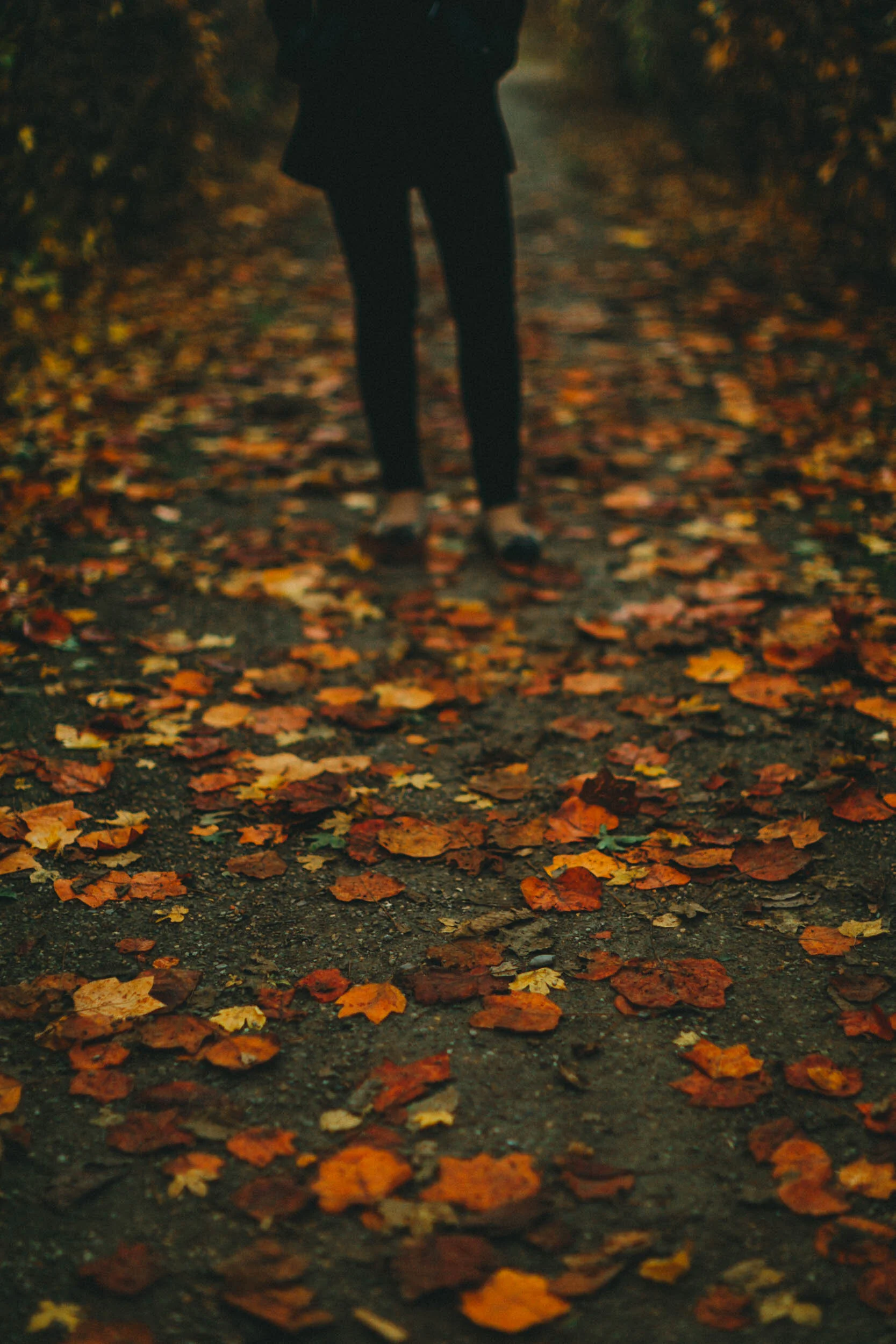 Vienna Engagement Photography