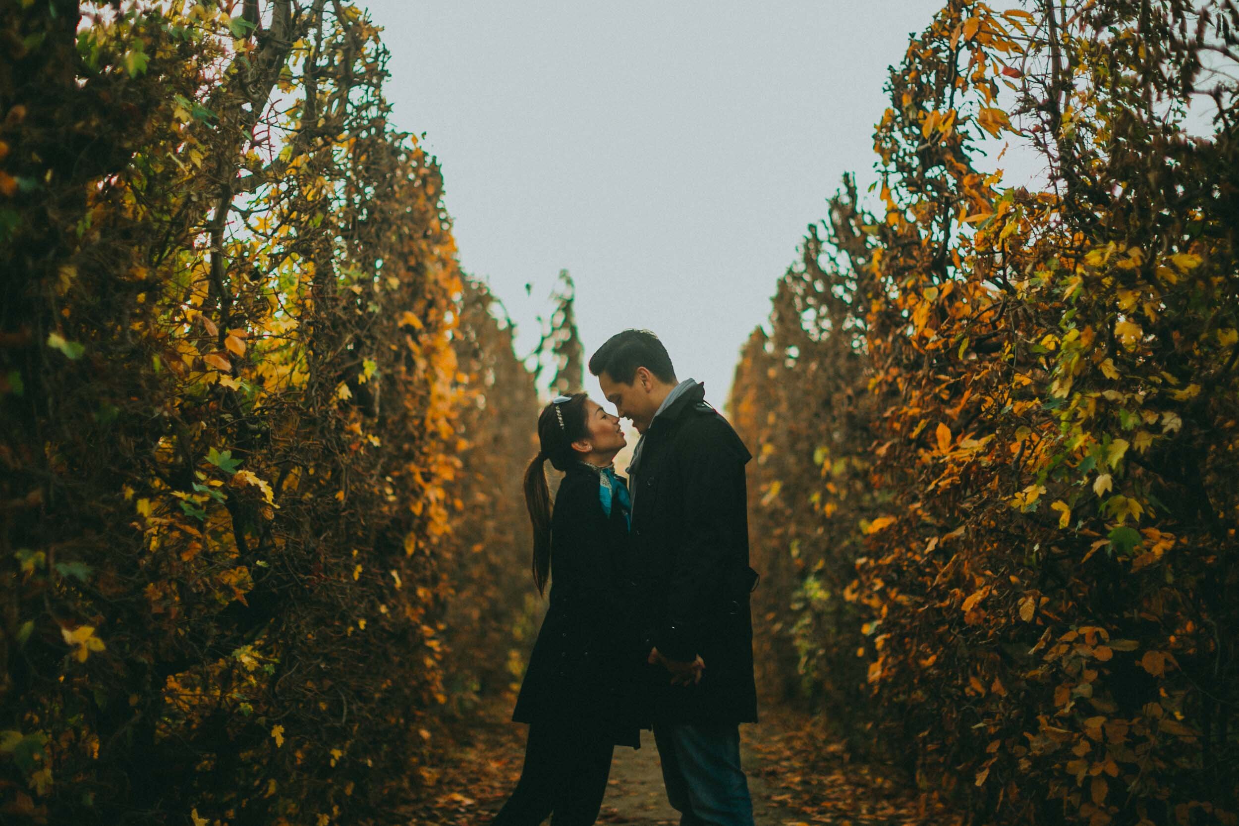 Vienna Engagement Photography