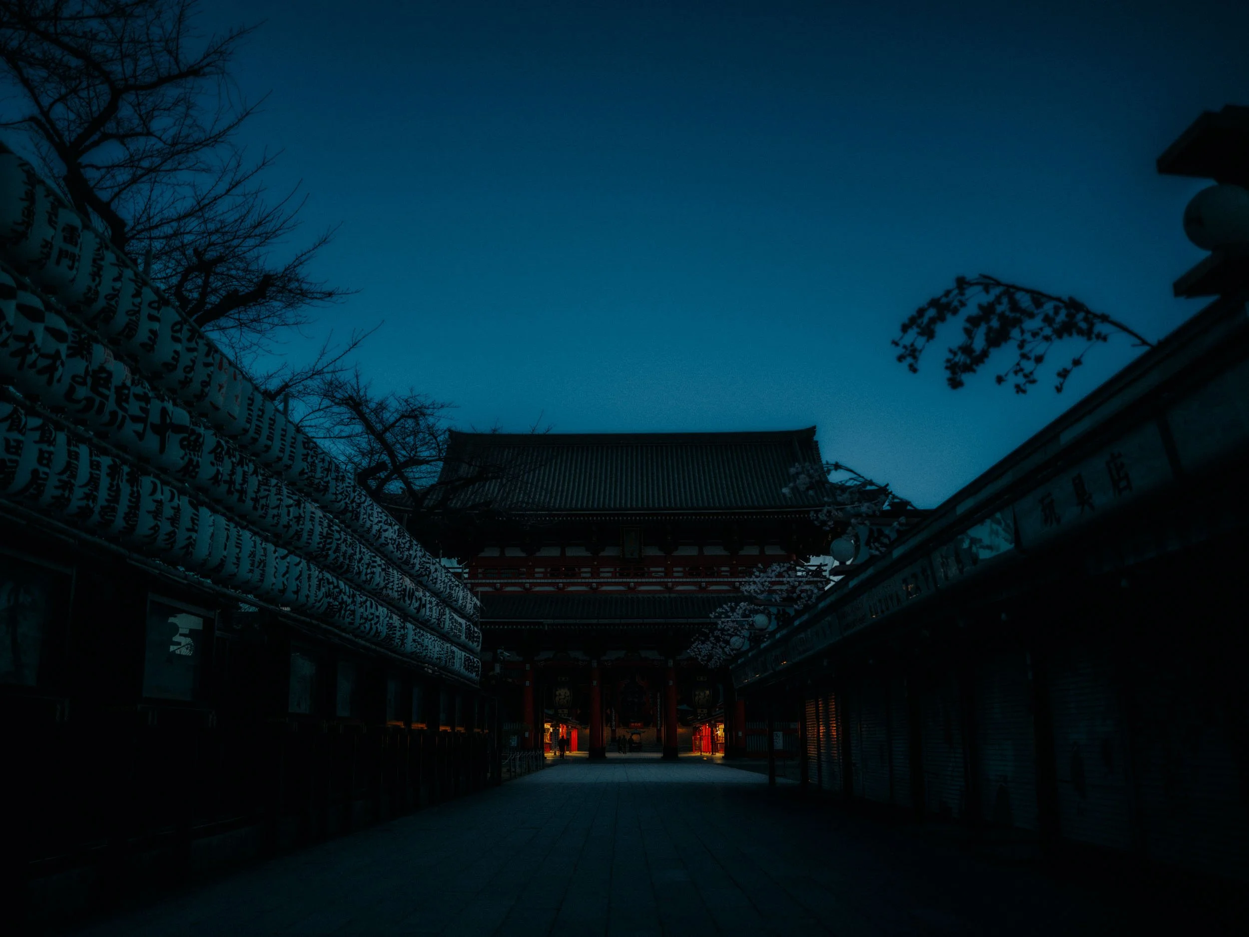 1-Cinematic Tokyo Travel Photography-Japan-LEICA Q3.jpg