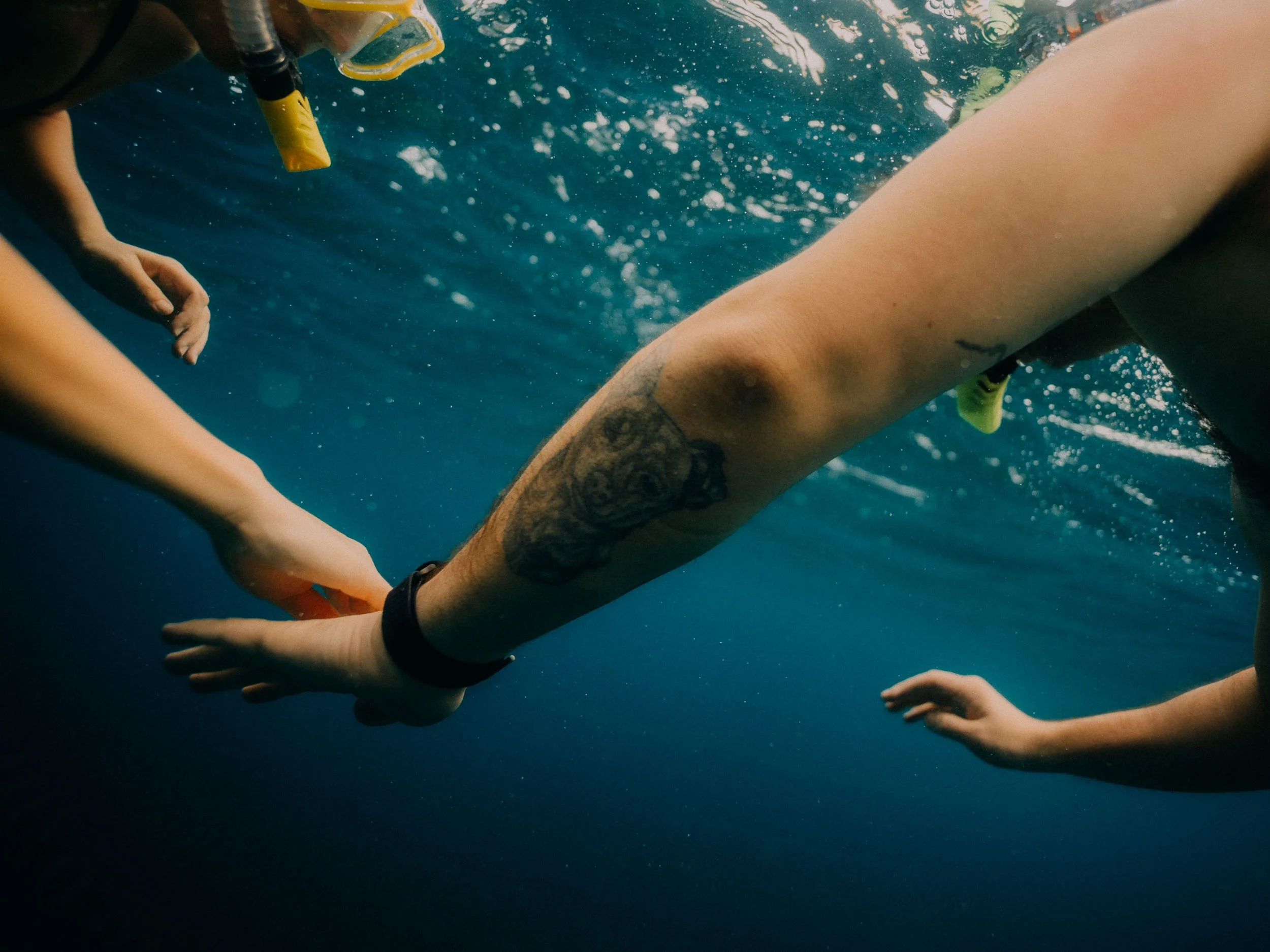 48-El Nido Palawan Philippines Underwater Photography.jpg