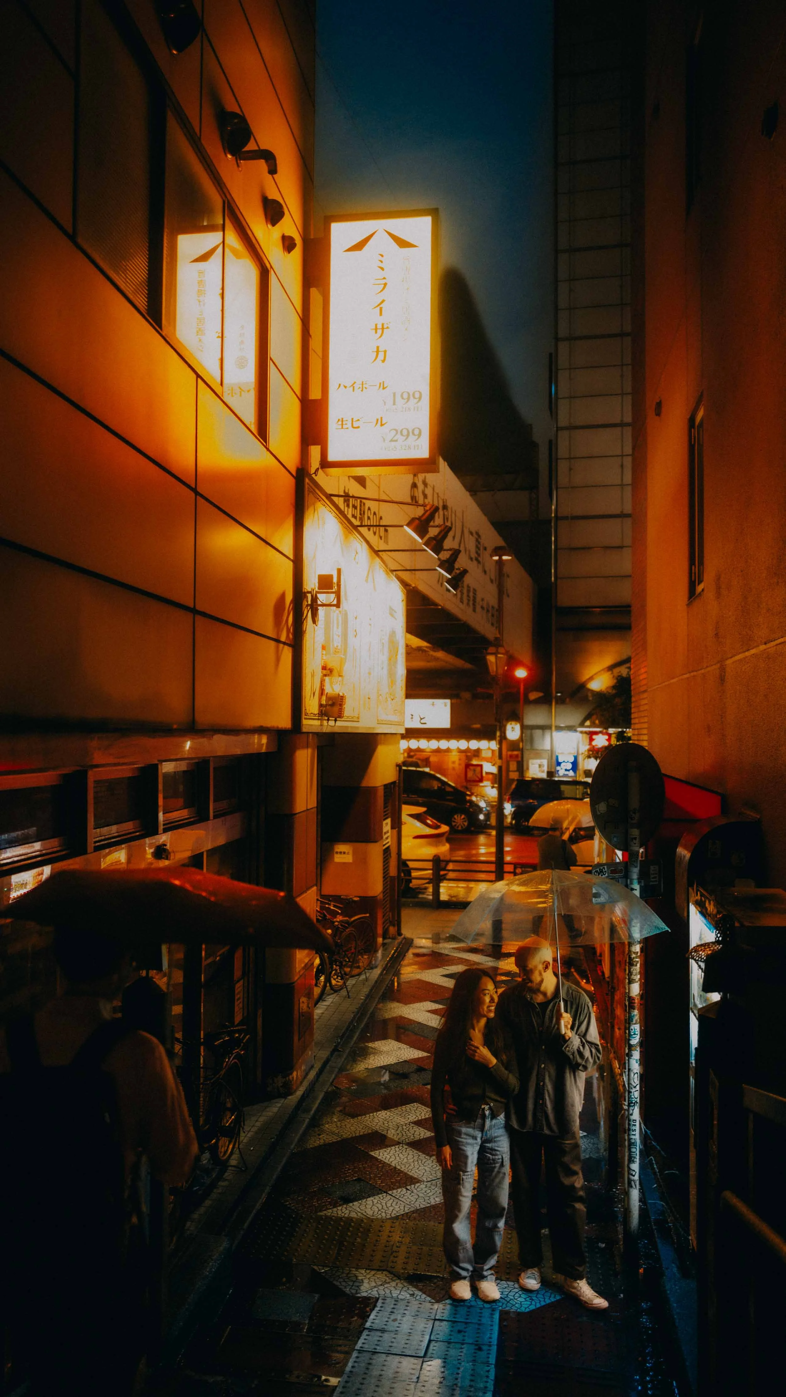 10-tokyo-honeymoon-akihabara-rain-alley-leicaq3.jpg