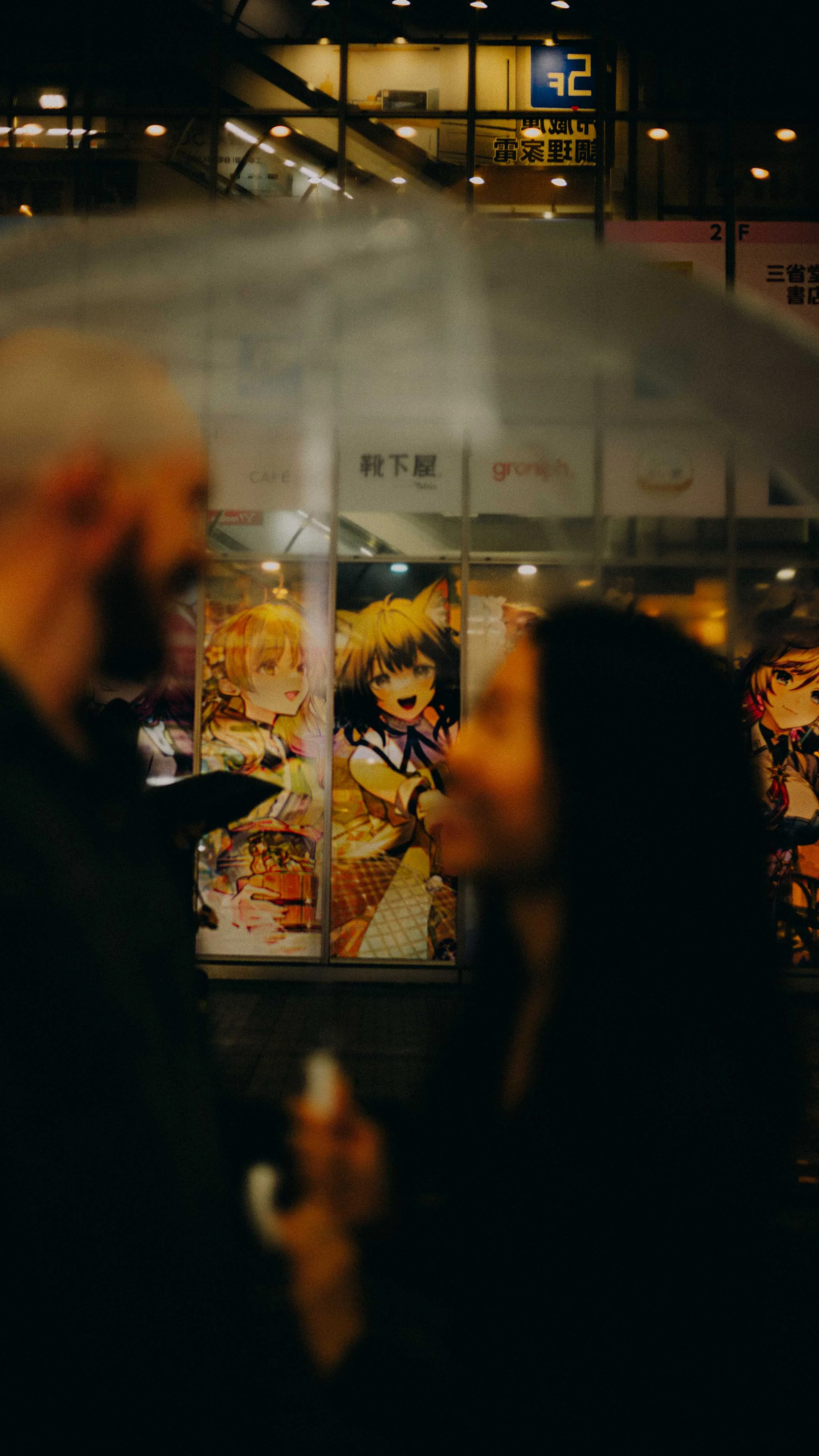 16-tokyo-honeymoon-akihabara-street-animestore-leicasl2.jpg