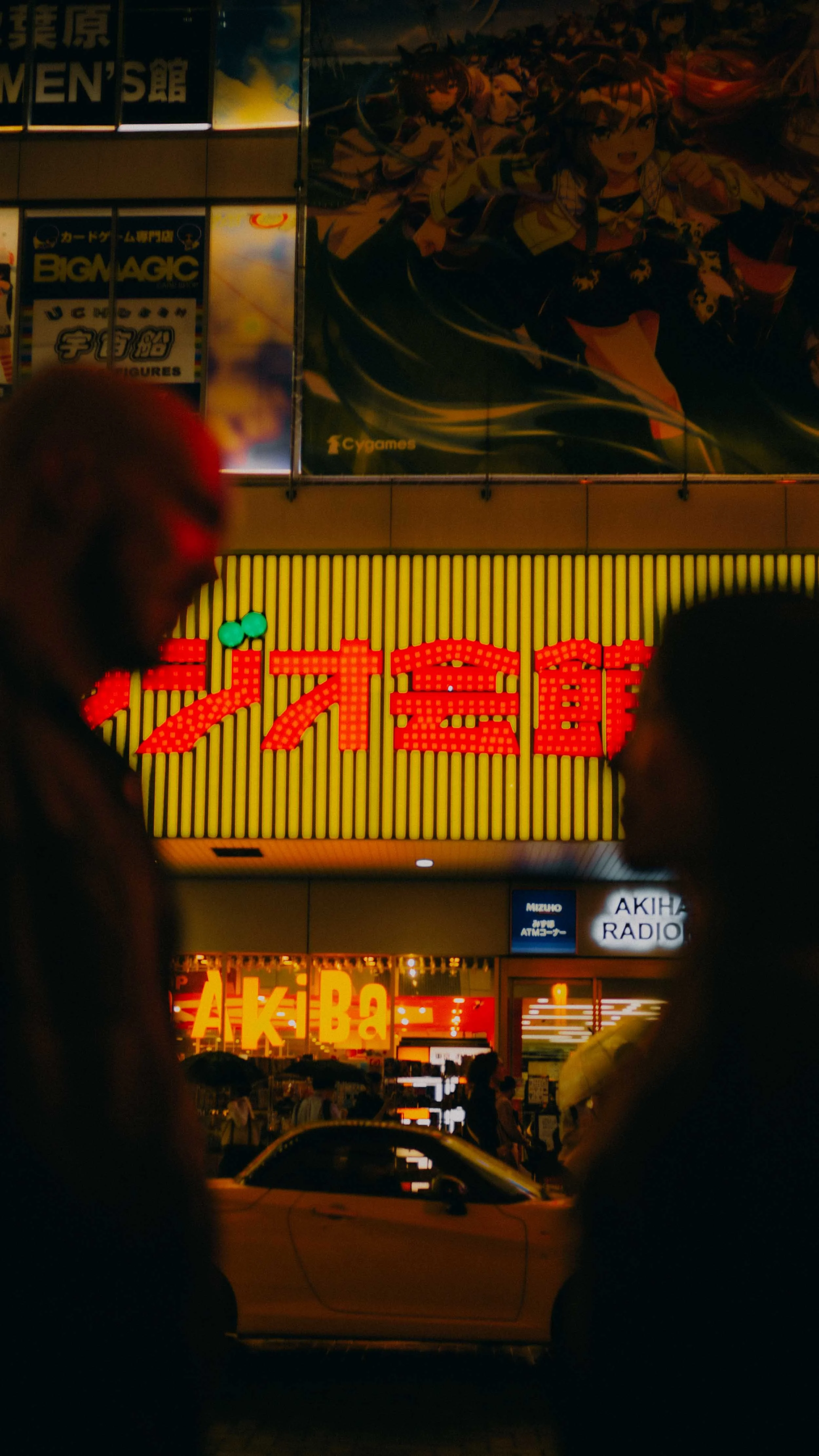 22-tokyo-honeymoon-akihabara-street-neonsign-leicasl2.jpg