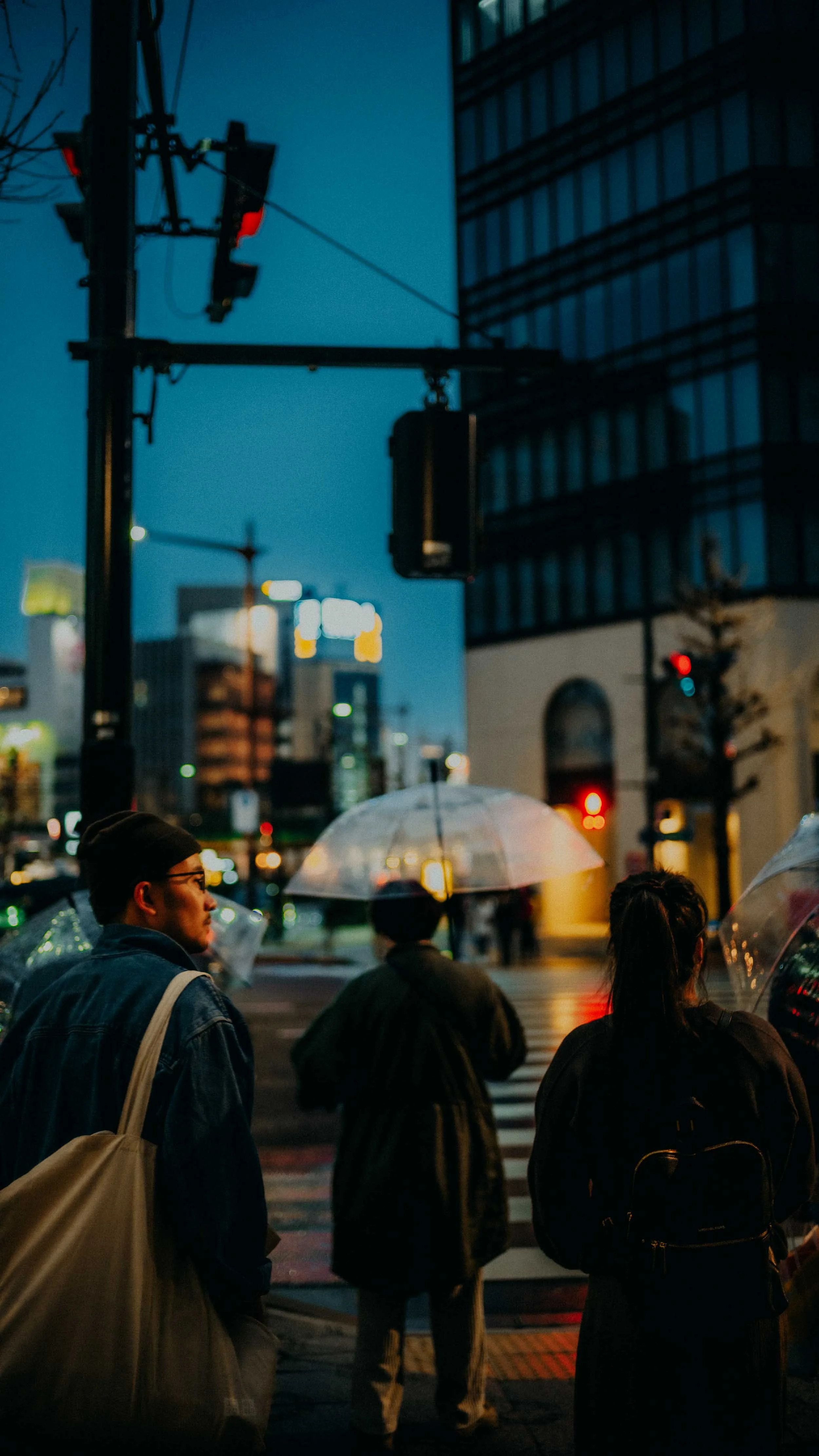20-tokyo-coupleshoot-kanda-rain-umbrellas-leicasl2.jpg