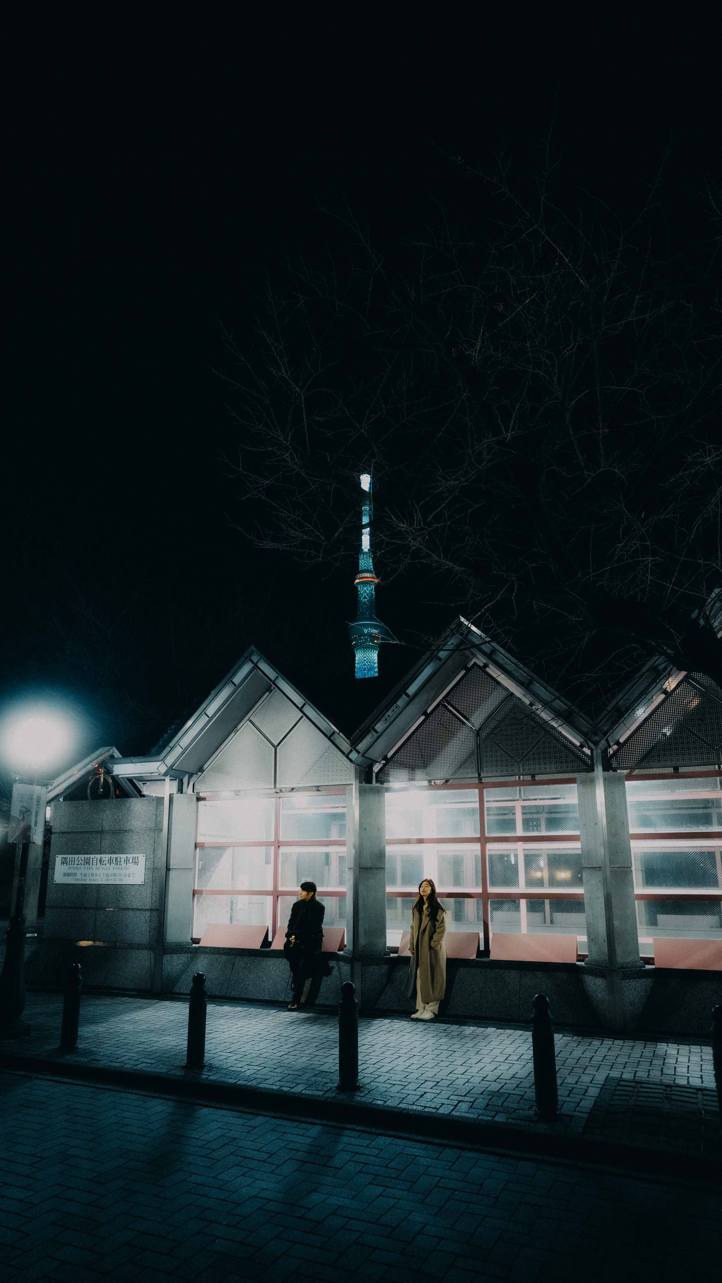 2-tokyo-engagement-sumidapark-night-skytree-sonya7rv.jpg