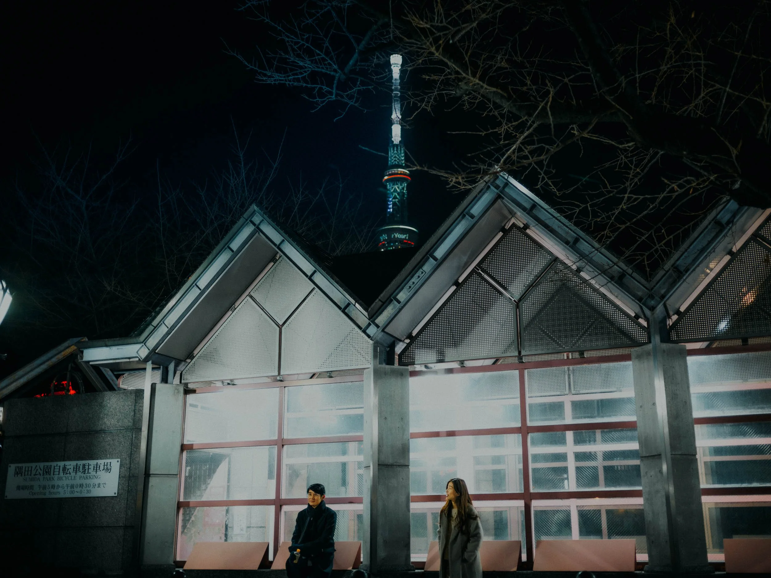 28-tokyo-engagement-sumidapark-night-skytree-leicasl2.jpg