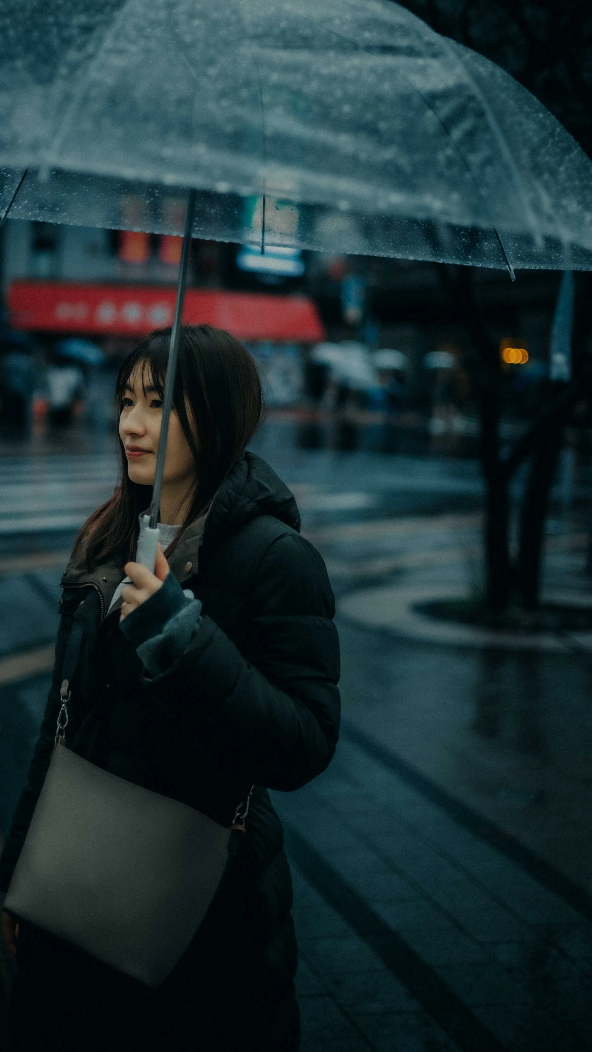 7-tokyo-portrait-shinjuku-rain-umbrella-crosswalk-leicasl2.jpg