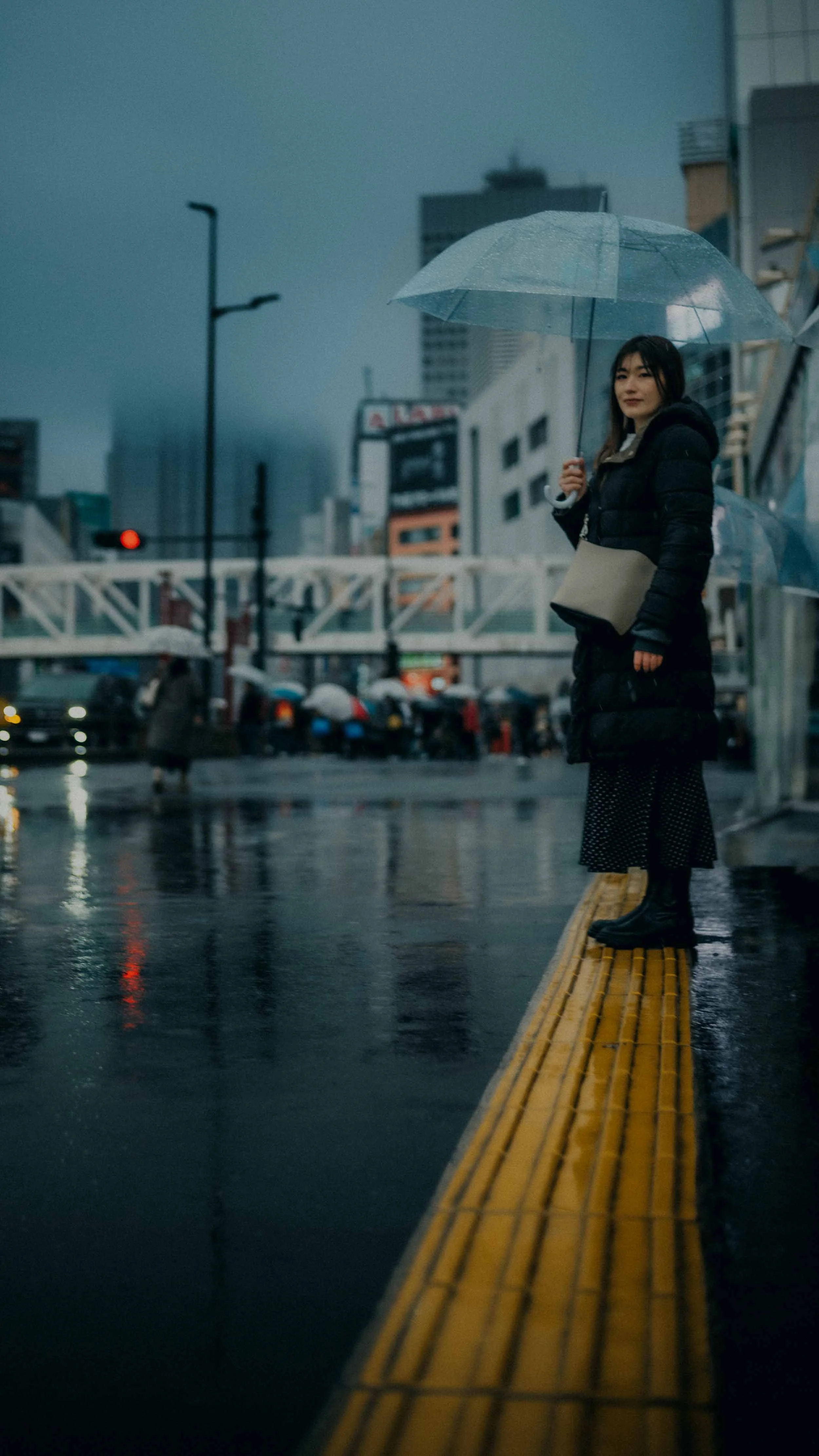 11-tokyo-portrait-shinjuku-rain-fullbody-pavementreflections-leicasl2.jpg