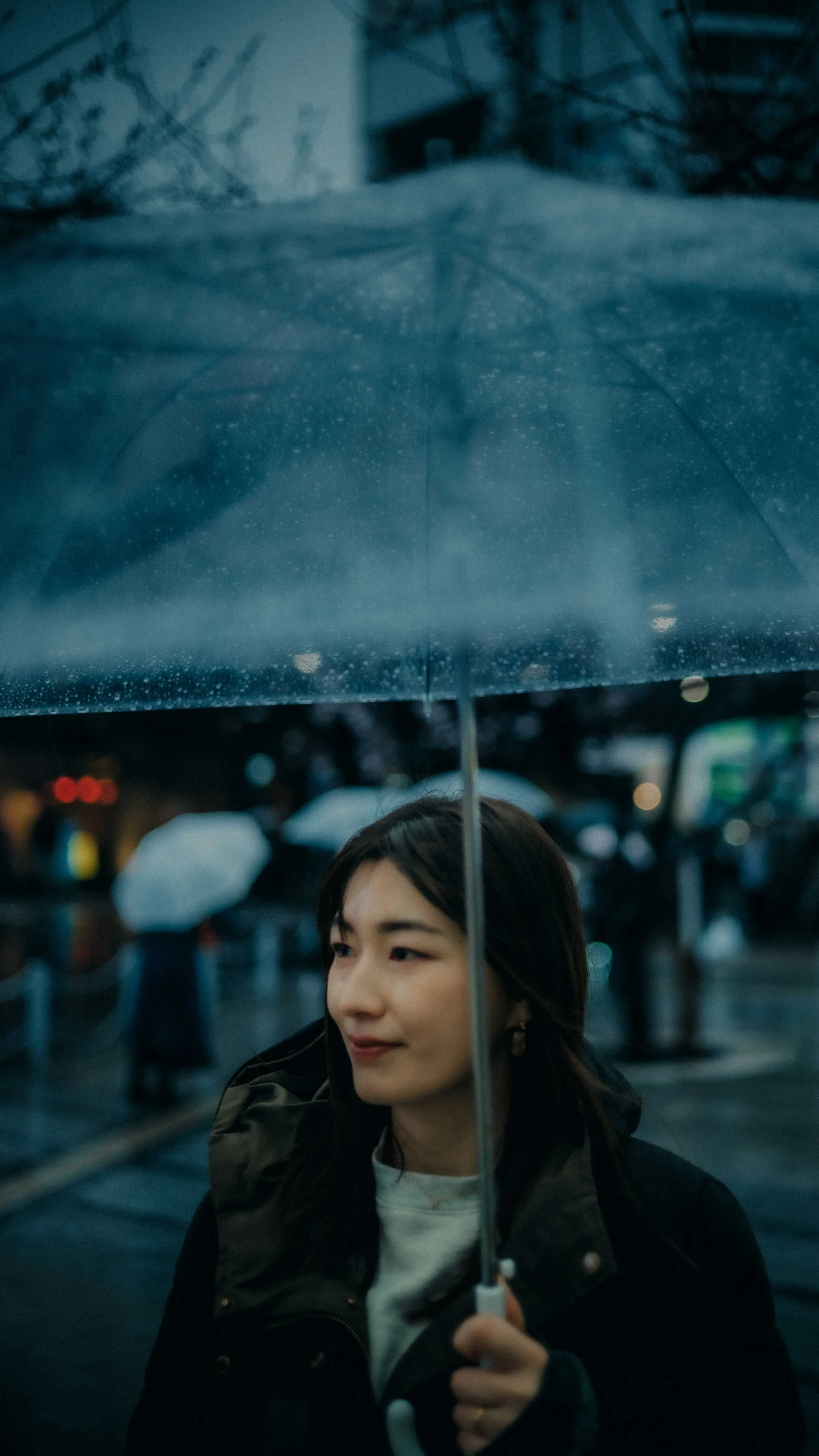 17-tokyo-portrait-shinjuku-rain-umbrella-pedestrians-leicasl2.jpg