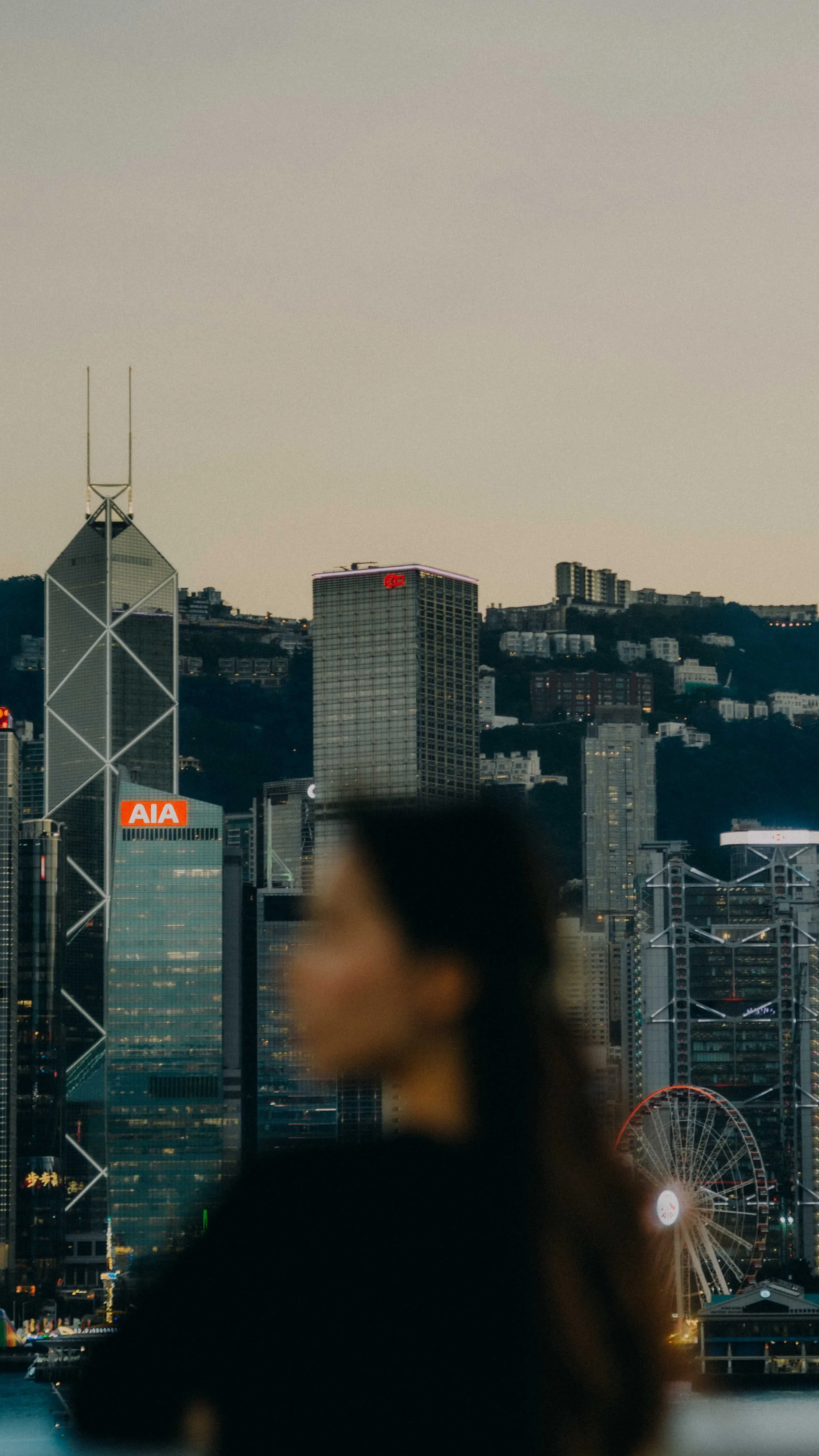 6-hongkong-portrait-victoriaharbour-skyline-blurredprofile-leicasl2.jpg