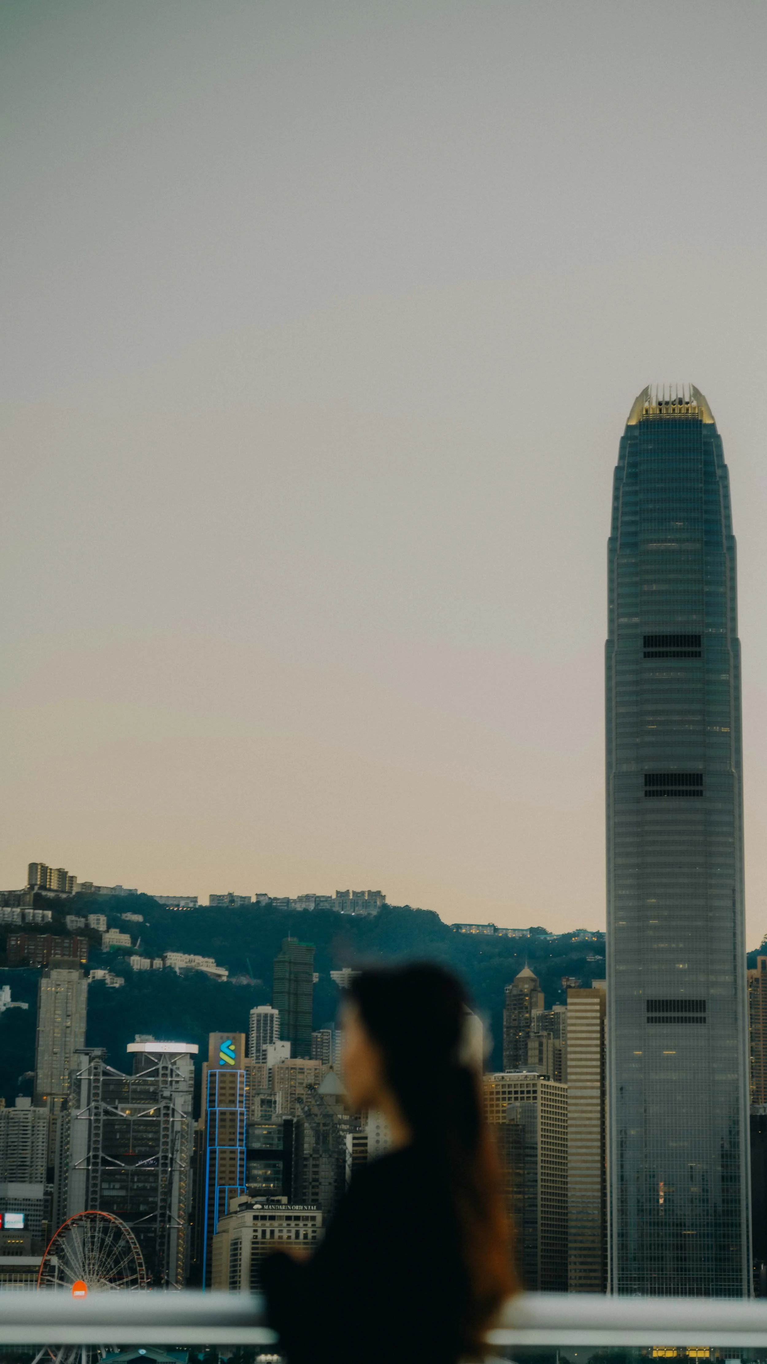 10-hongkong-portrait-victoriaharbour-skyline-towerforegroundblur-leicasl2.jpg