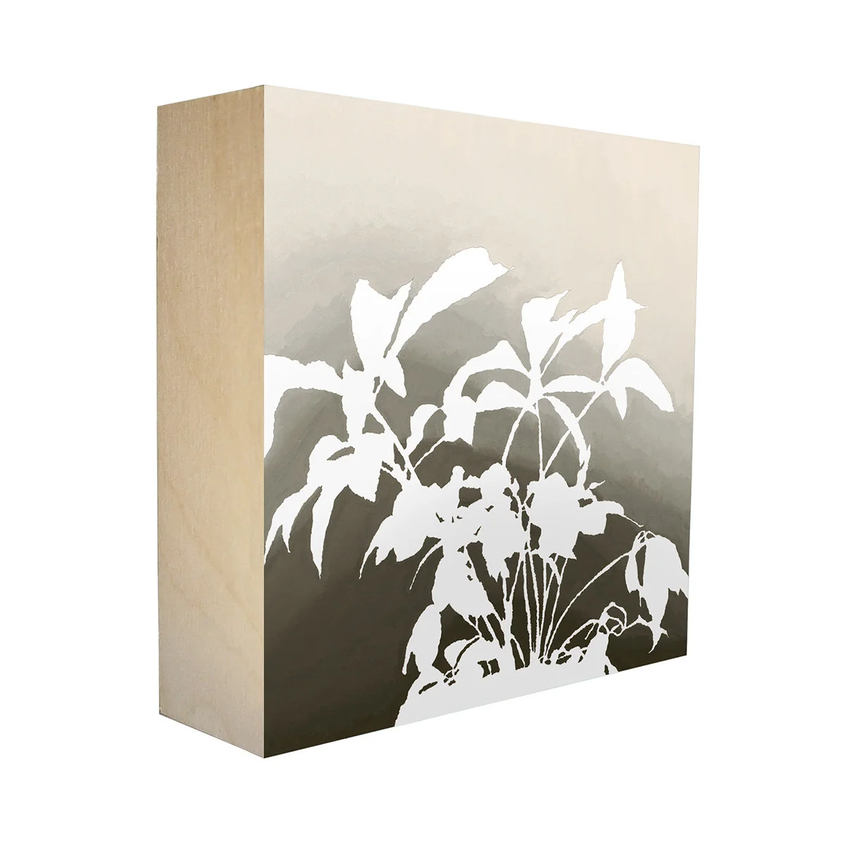 Lenten Rose No. 2 - limited edition botanical print on panel