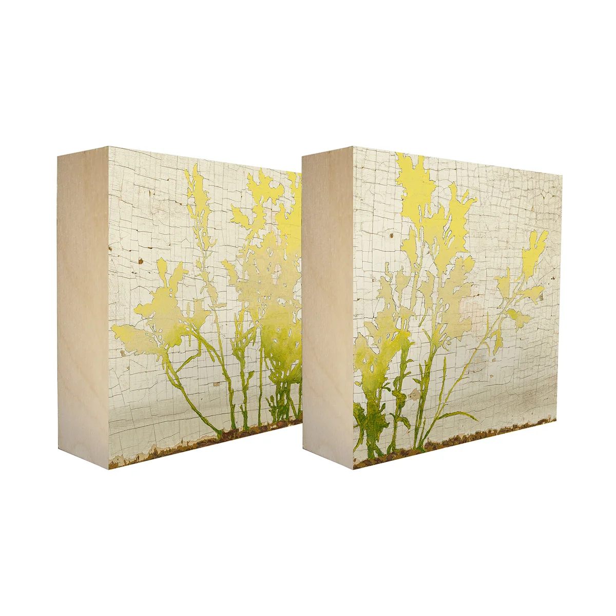 Wild Flowers - Set of 2 limited edition botanical art blocks