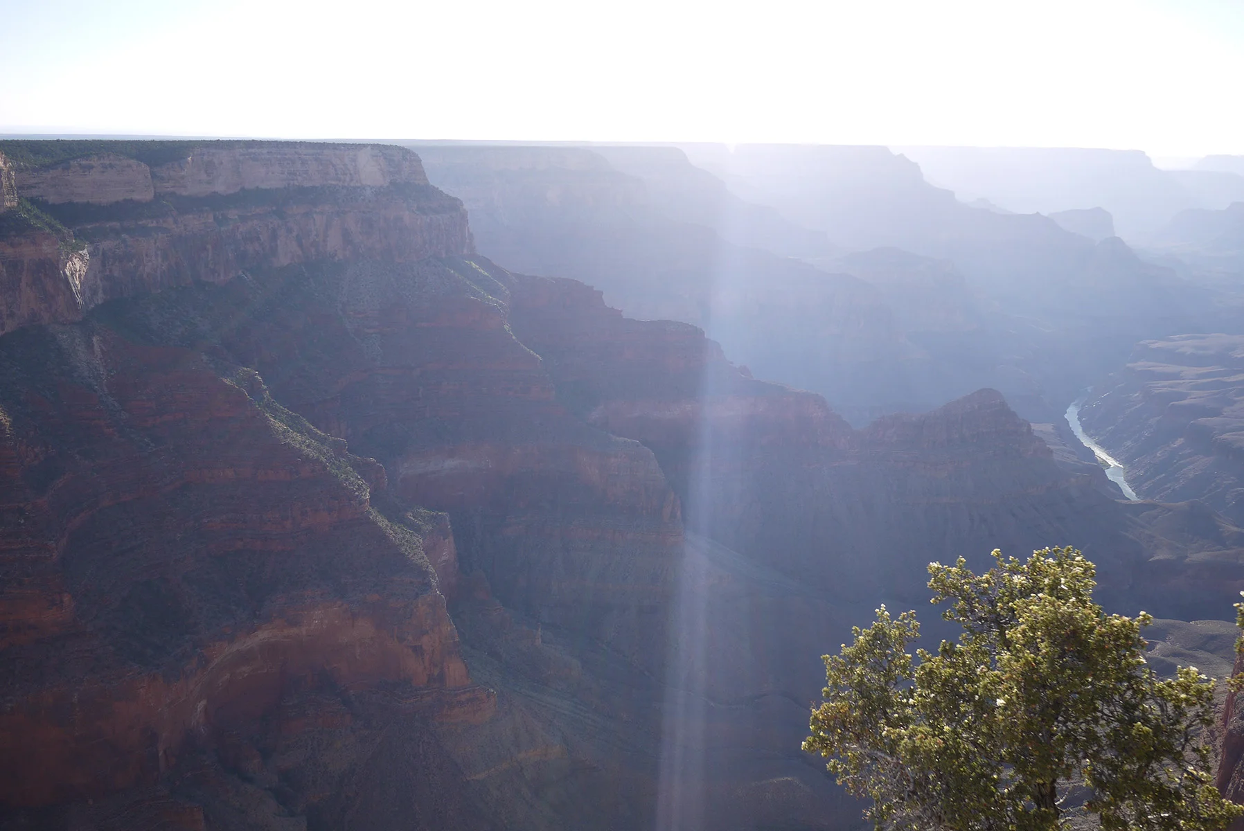 GrandCanyon-093.jpg
