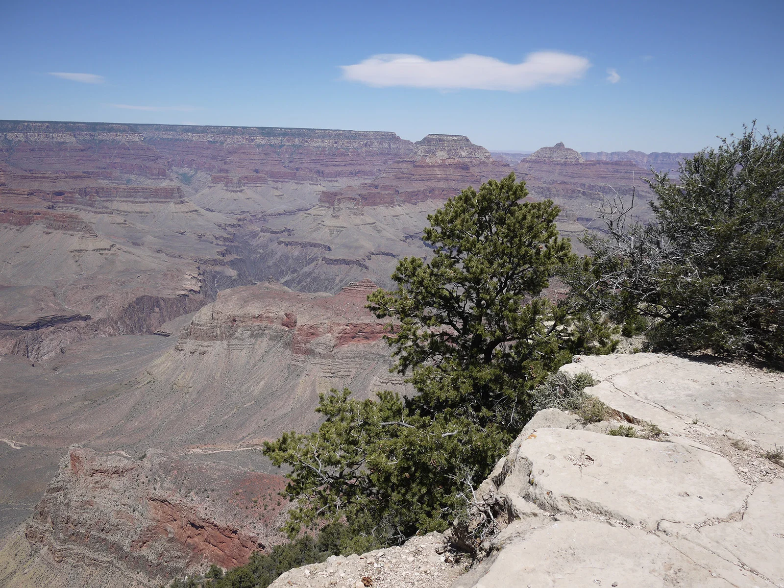 GrandCanyon-116.jpg