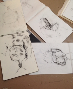 Cataloguing drawings, 2015