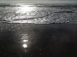From Studies of Sea and Light , 2016