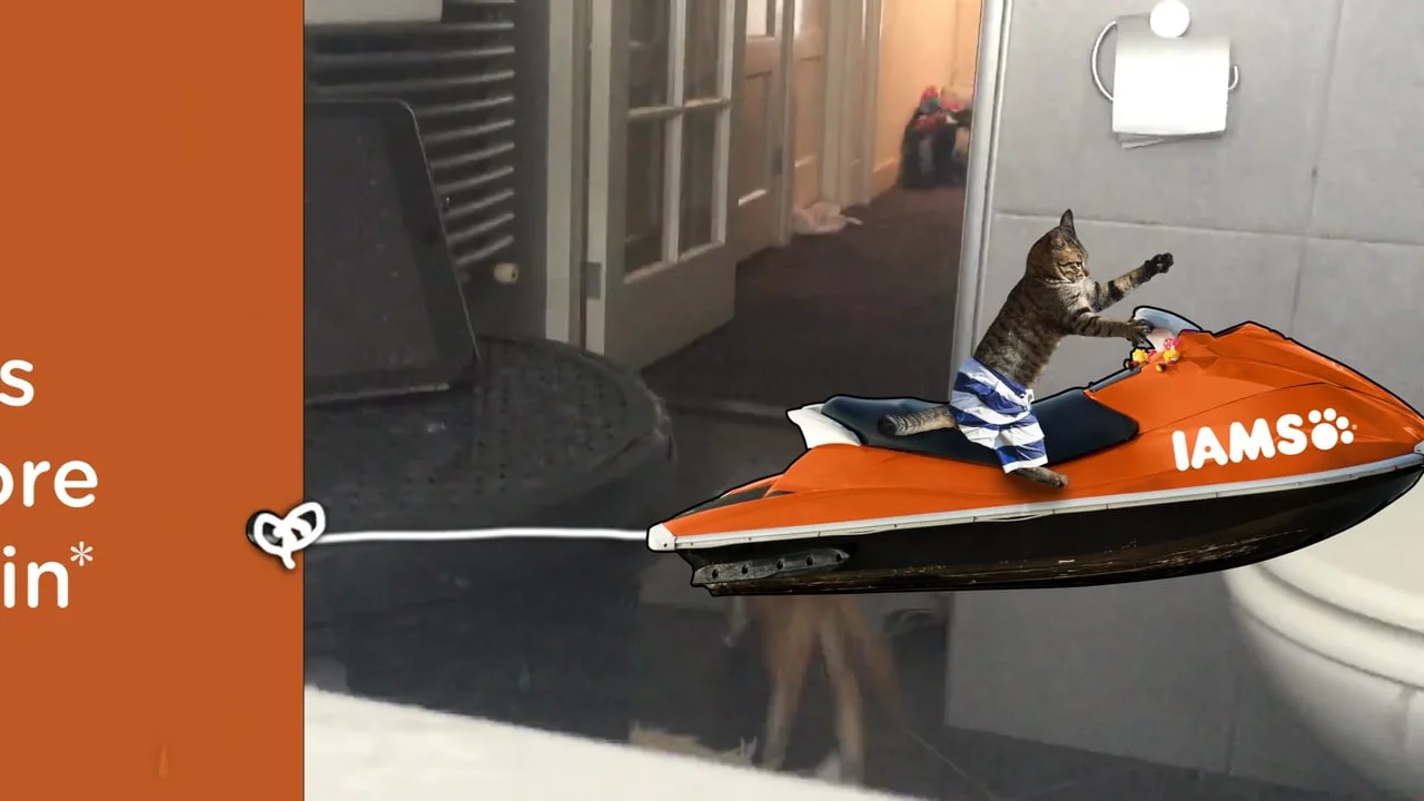 IAMS Meaty Motivations 2