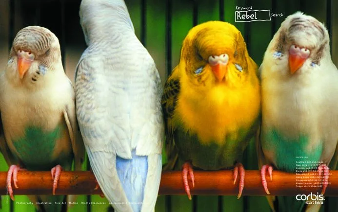 print_Corbis_keywordRebel