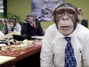 no monkeys were harmed in the making of this web site.