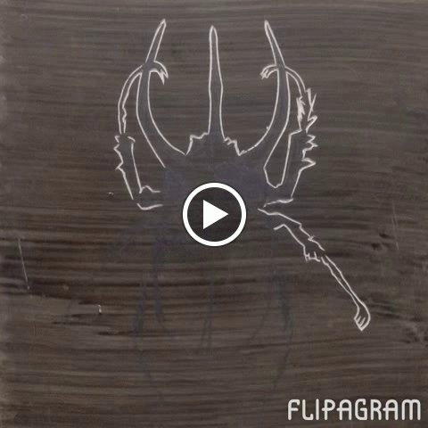 This is a little flip book video to show the steps that go into engraving a block. The block pictured is the "Atlas Beetle".