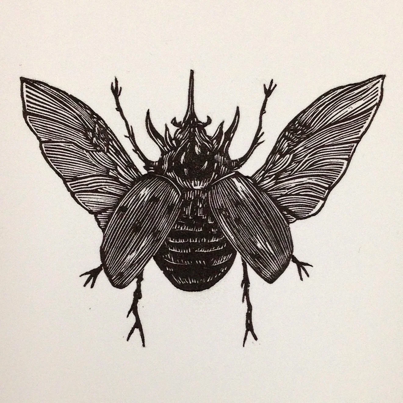 Final print of the Rhinoceros Beetle.