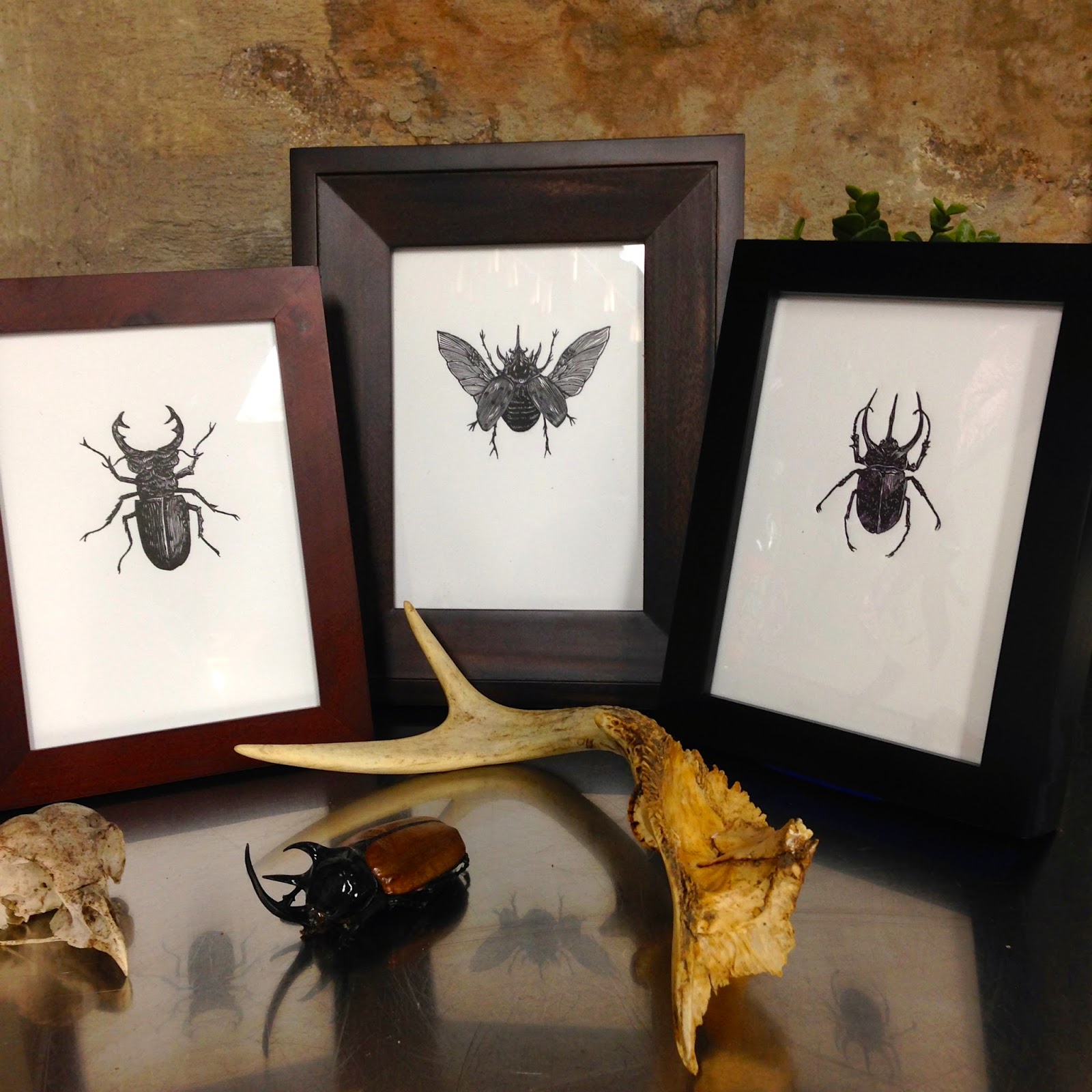 All framed up! The paper is exactly 5x7 inches which makes for very easy framing! 