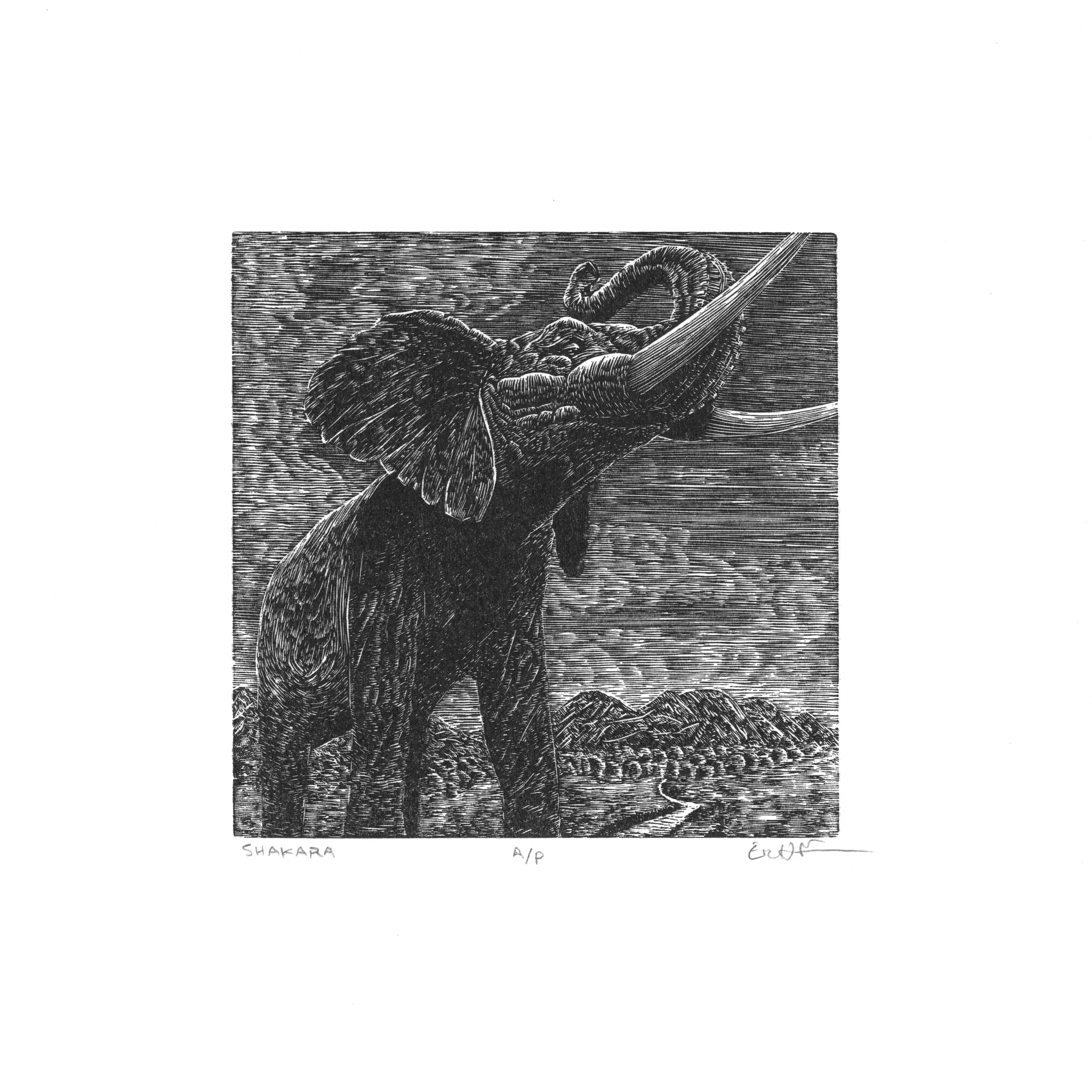 shakara Scan 720 whole - Version 2.jpeg