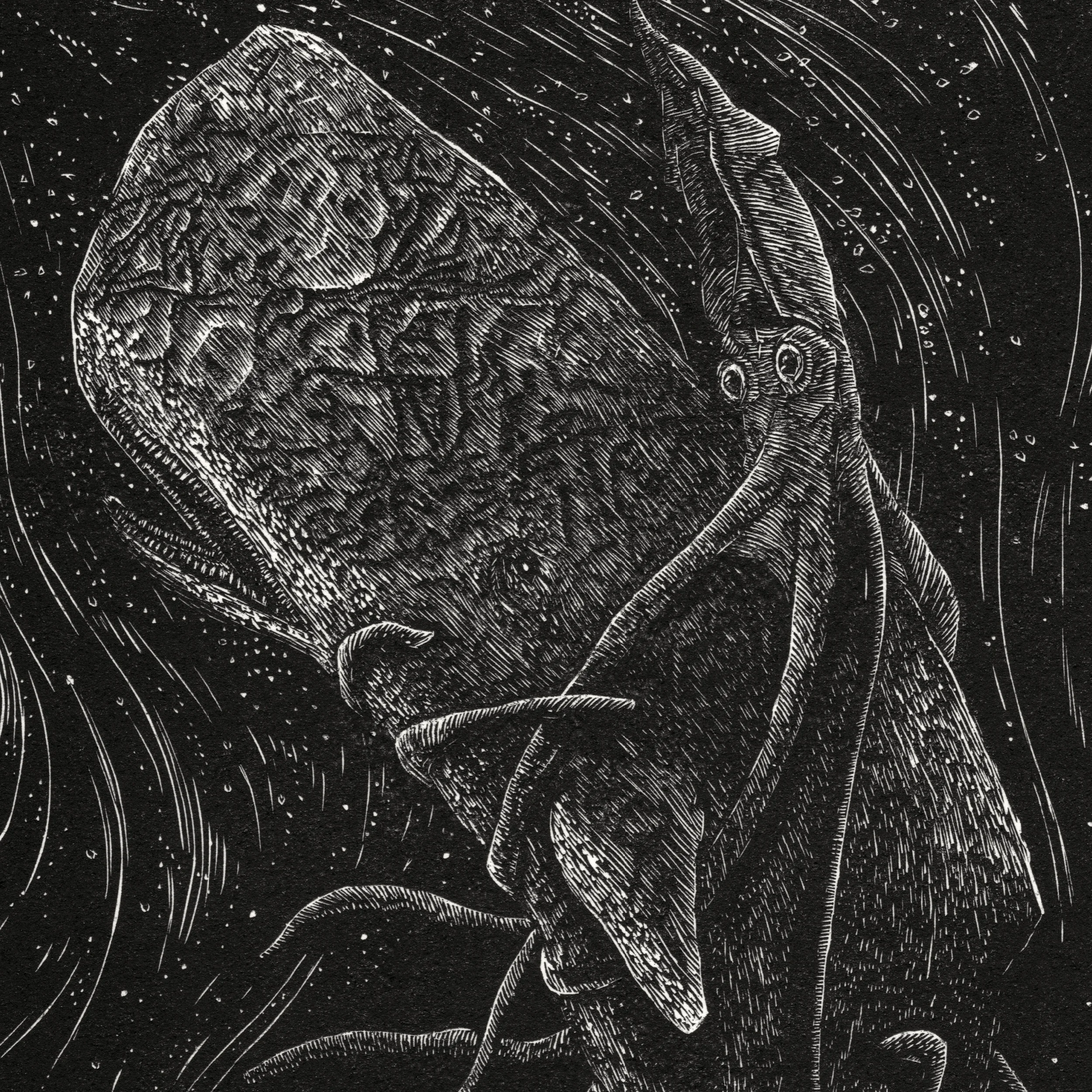 Scan - Version 2.jpeg