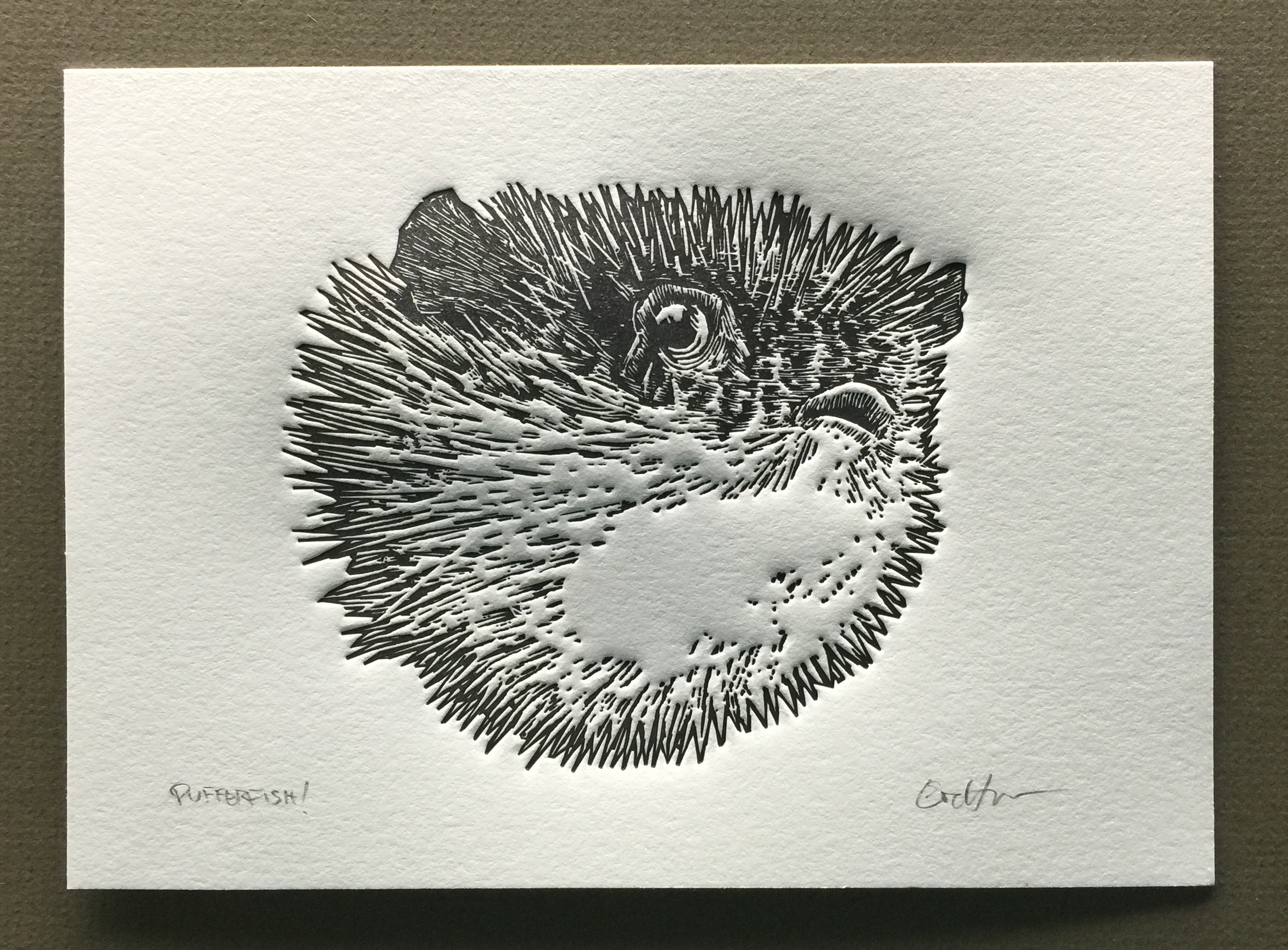 Final Print.