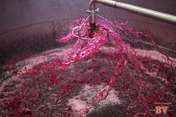 Brand: Beaulieu Vineyard Client: Diageo Art Direction by Kelly Hartigan Bucher Design by Kelly Sharon