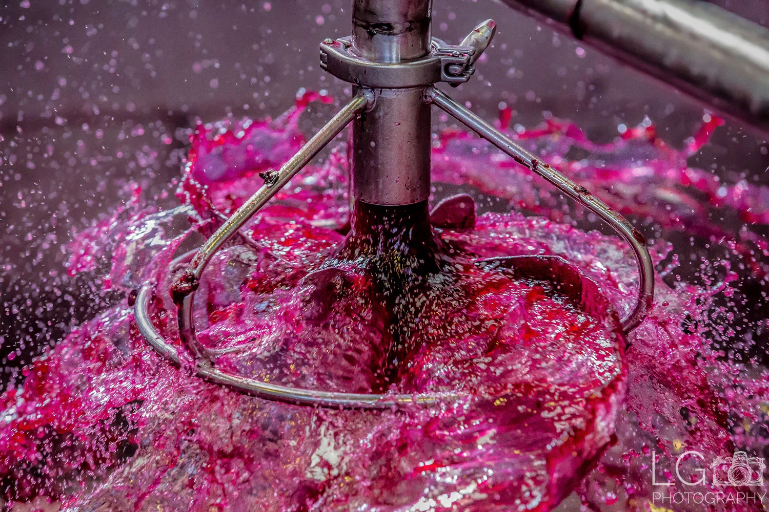 Winery Photography Photo Pictures