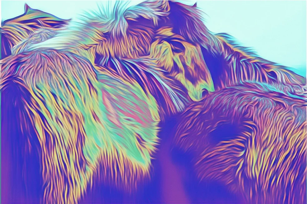 Tail-and-Mane.jpg