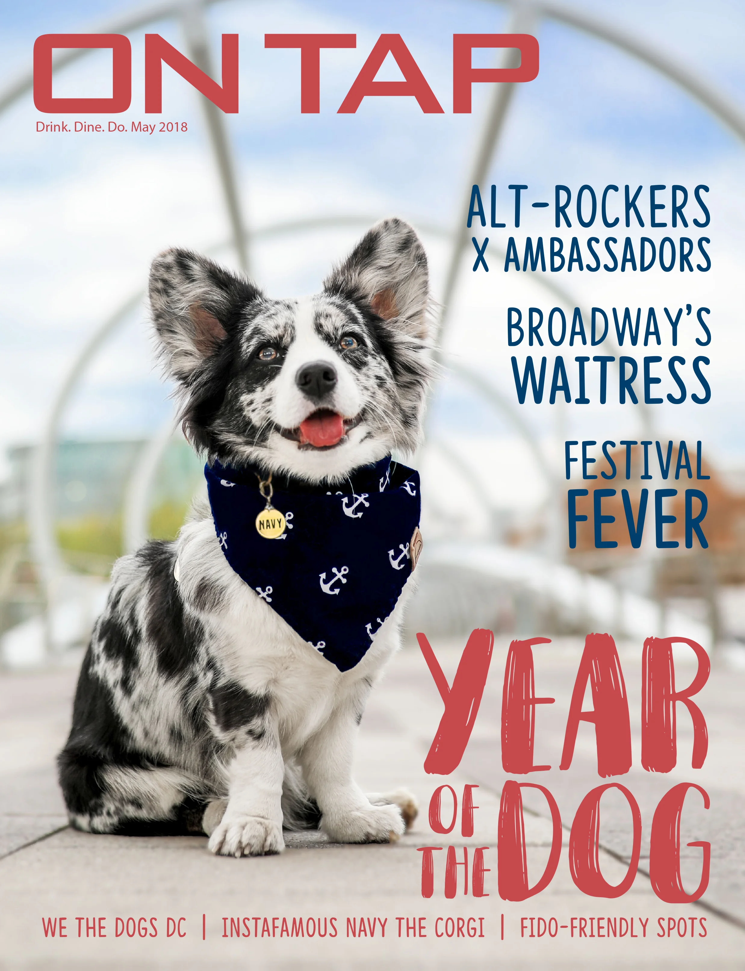 LG Photography photographed Navy the Corgi for the cover of On Tap Magazine's May 2018 issue.