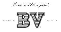 BV_logo.jpg