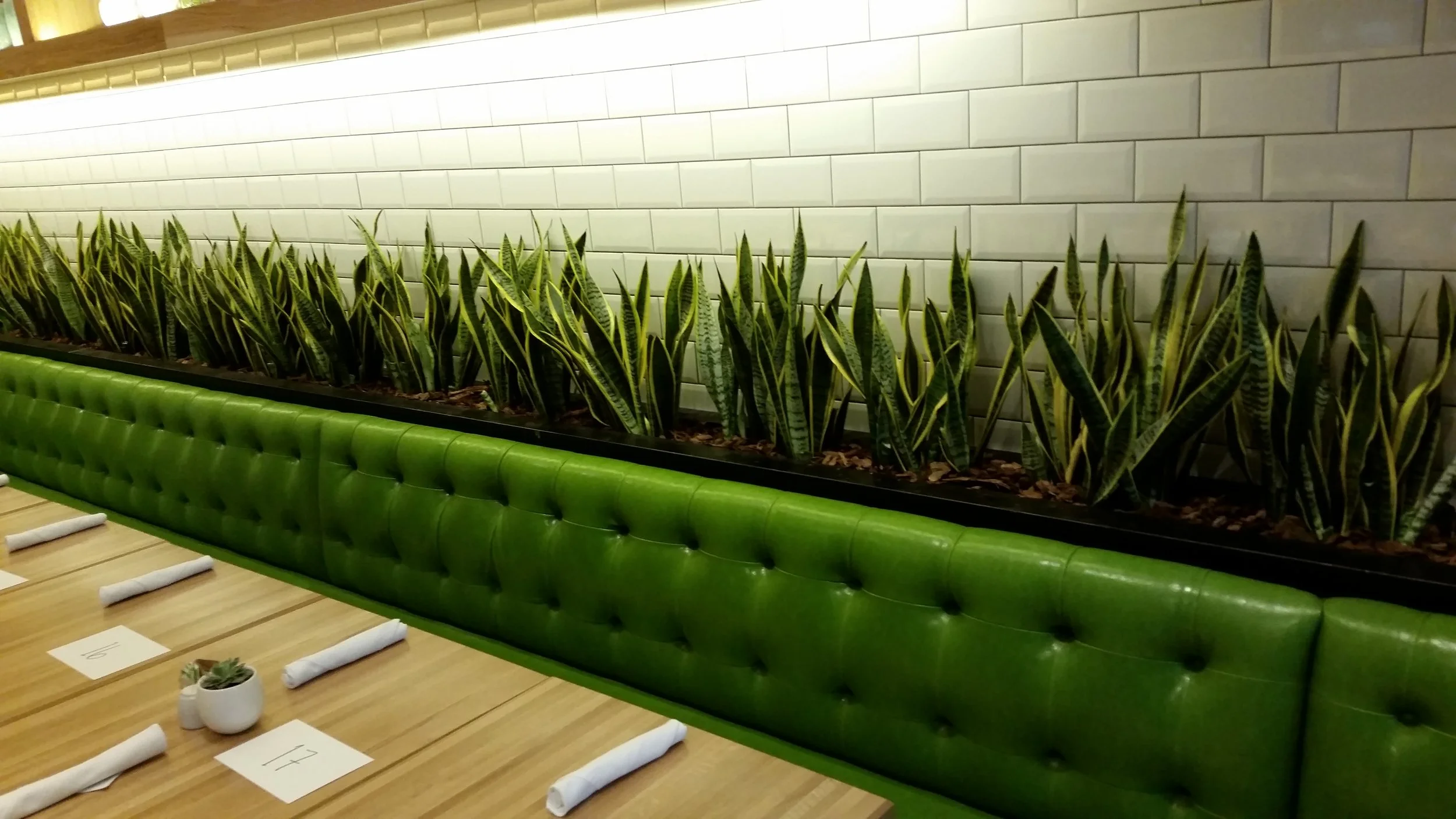 True Food Kitchen Planter Behind Seating