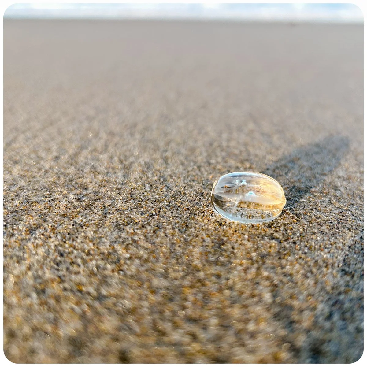 © Kirsten Muskat - kind lens -12.jpg