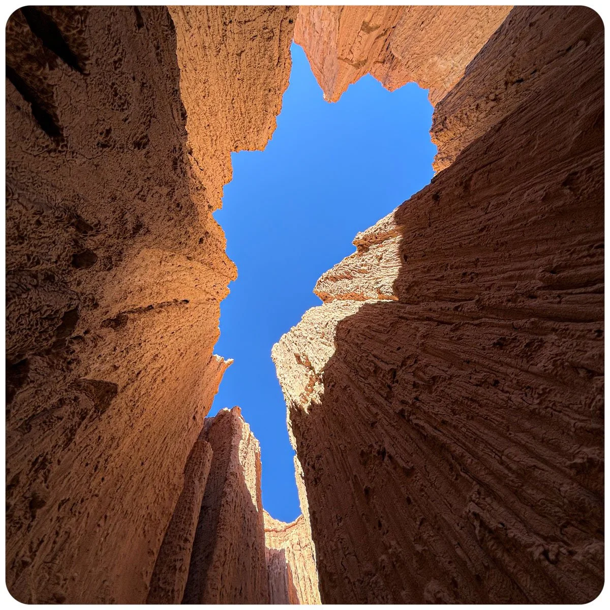 © Kirsten Muskat - kind lens -9045.jpg