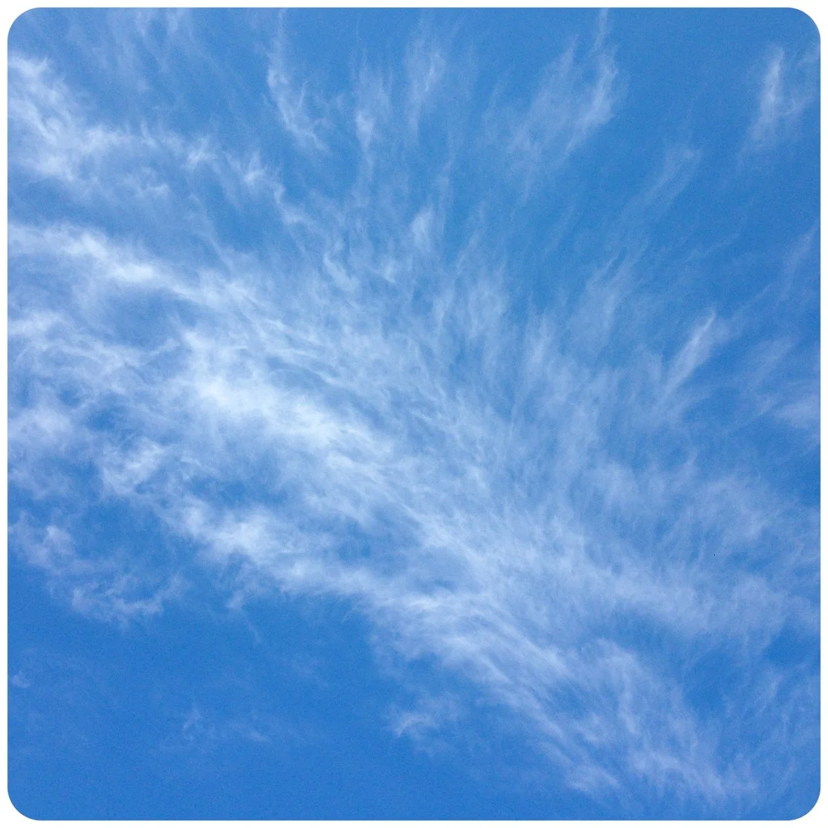 © Kirsten Muskat - kind lens -0604.jpg