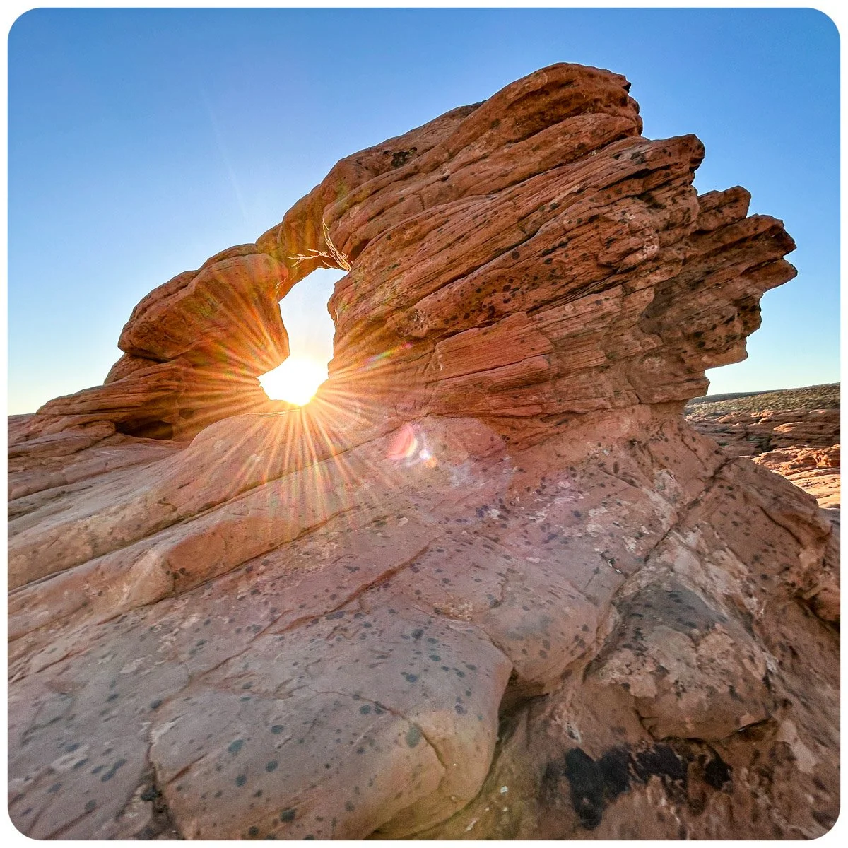 © Kirsten Muskat - kind lens -2151.jpg