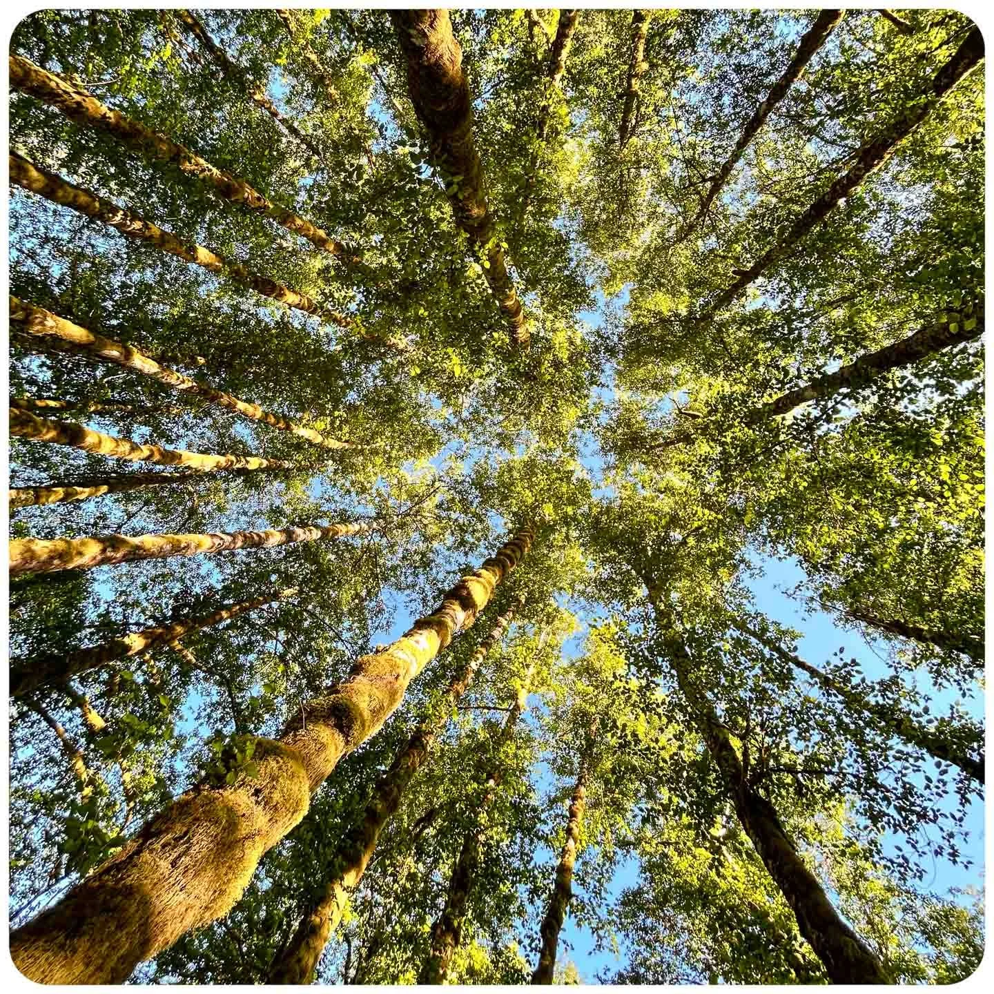 © Kirsten Muskat - kind lens -0447.jpg