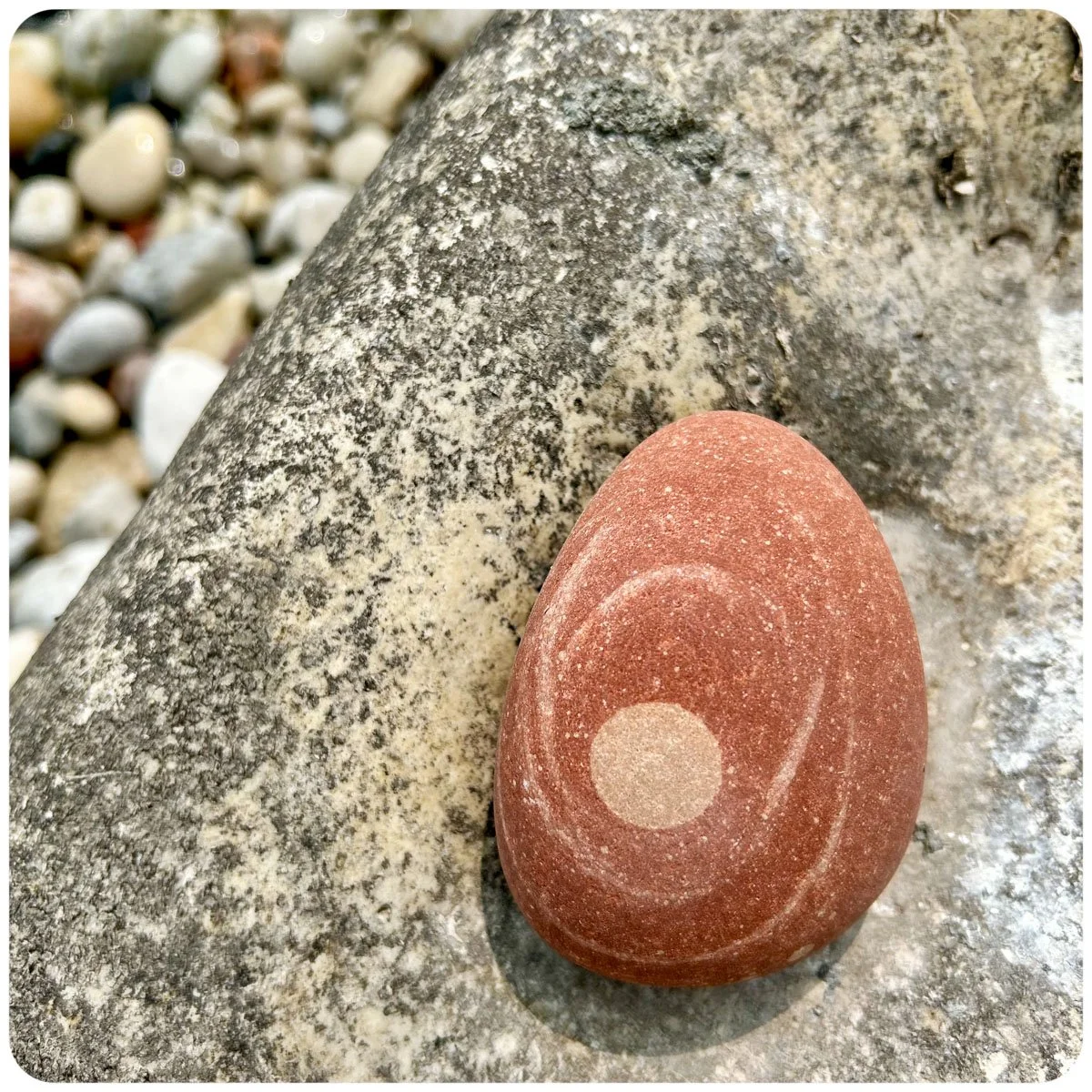 © Kirsten Muskat - kind lens -9047.jpg